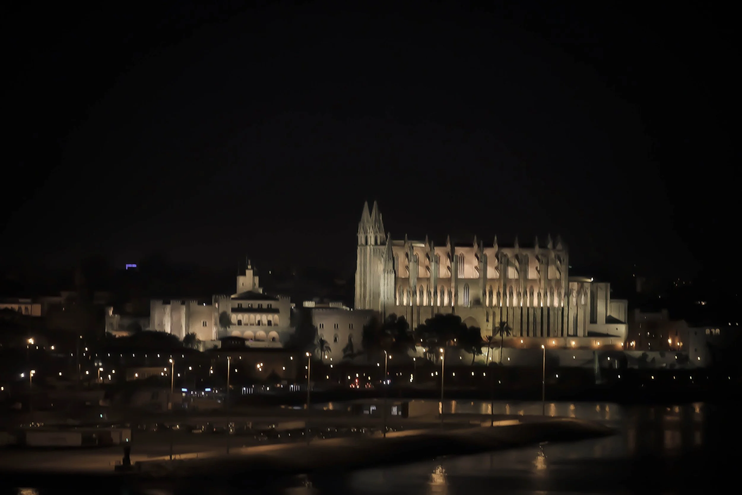 DSCF2695.jpg