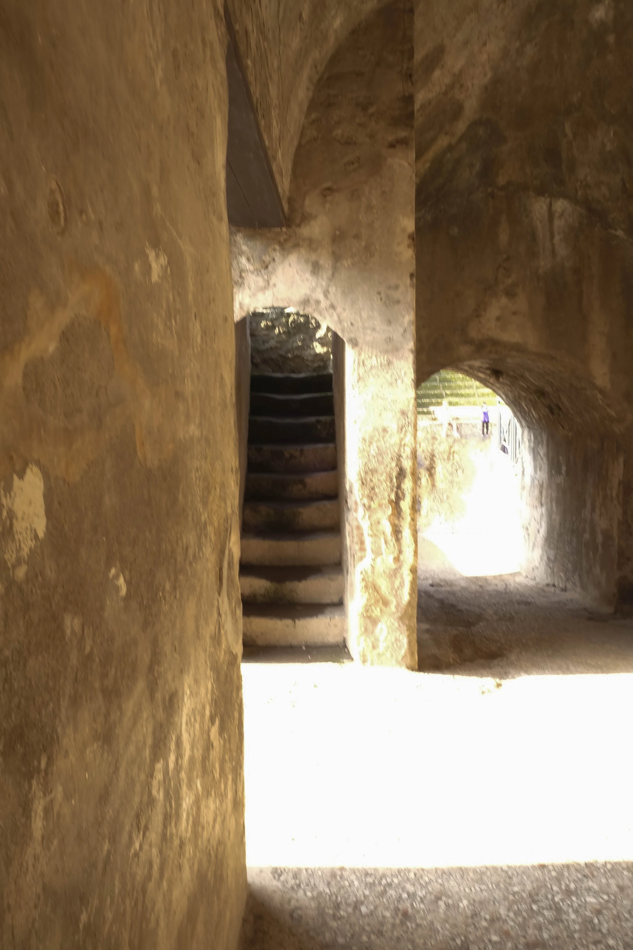 DSCF2419 2.jpg