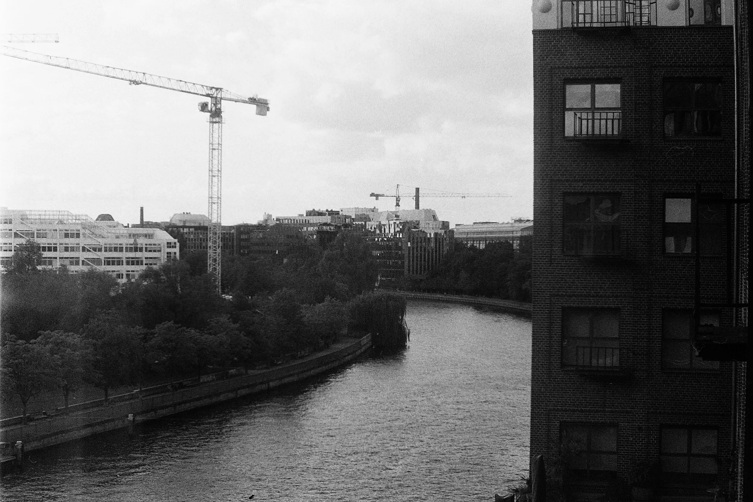PICT0145.JPG