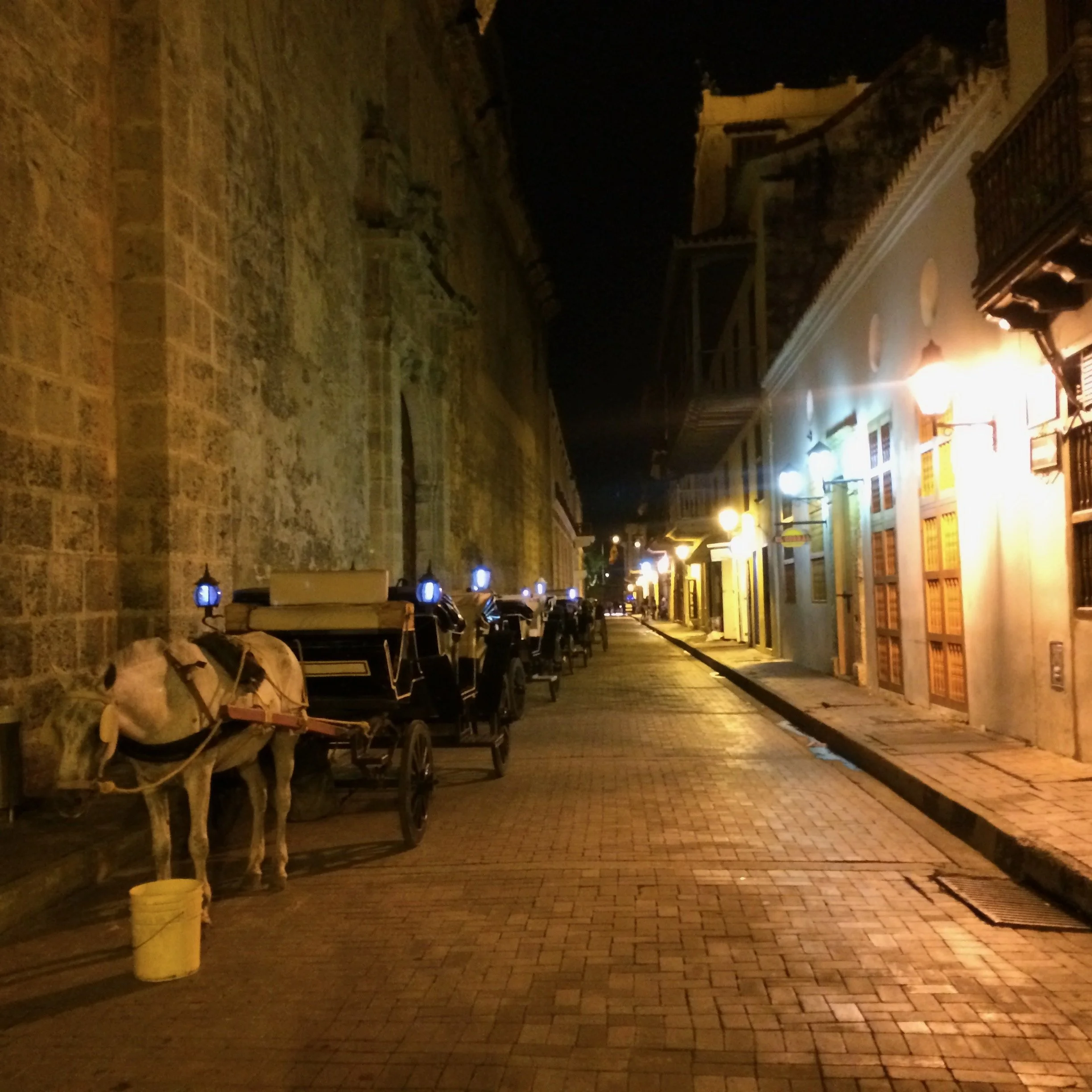 IMG_5720.jpeg