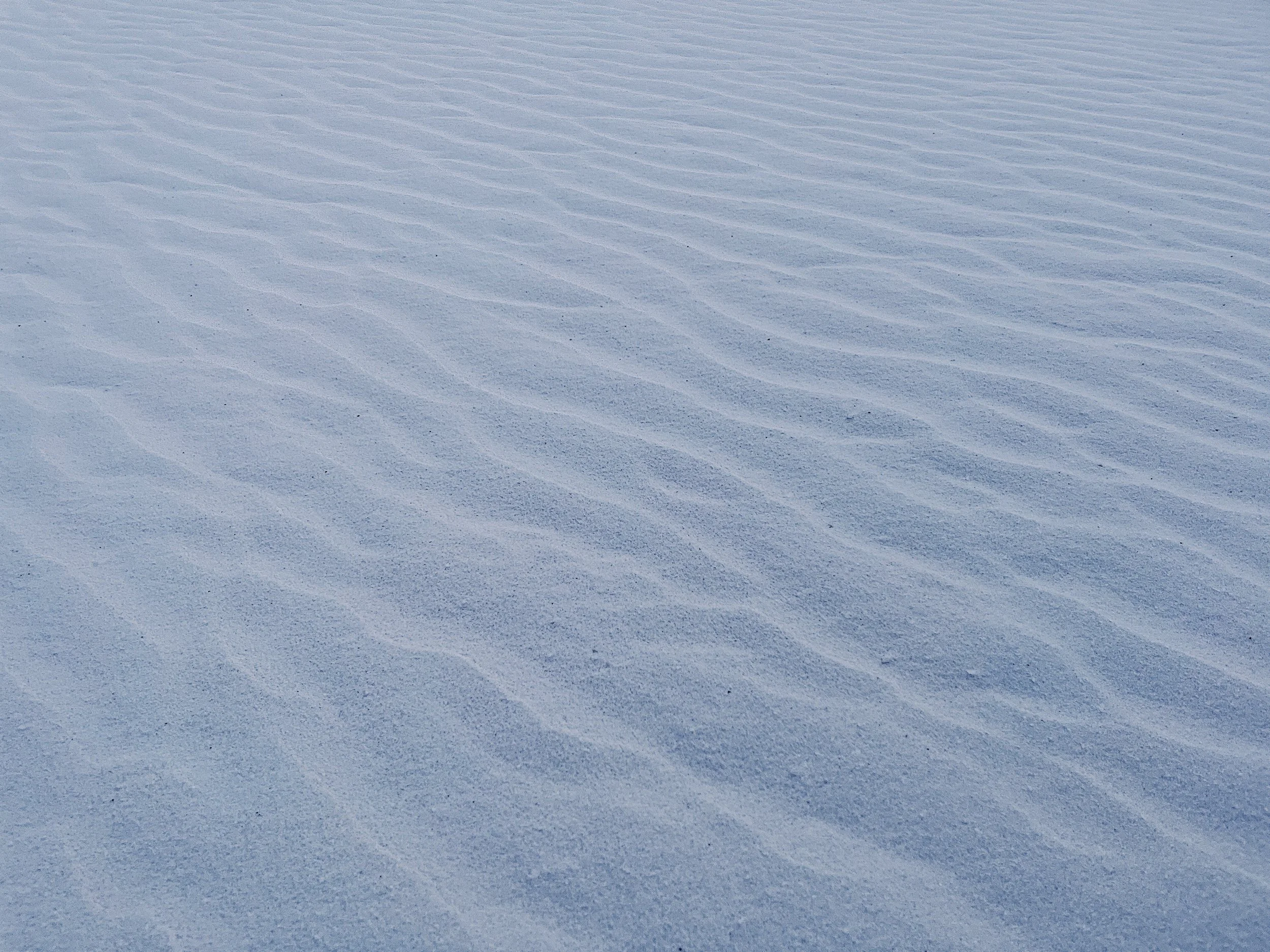 58709279-07AB-455A-99F6-68E22F3B87AD.jpeg