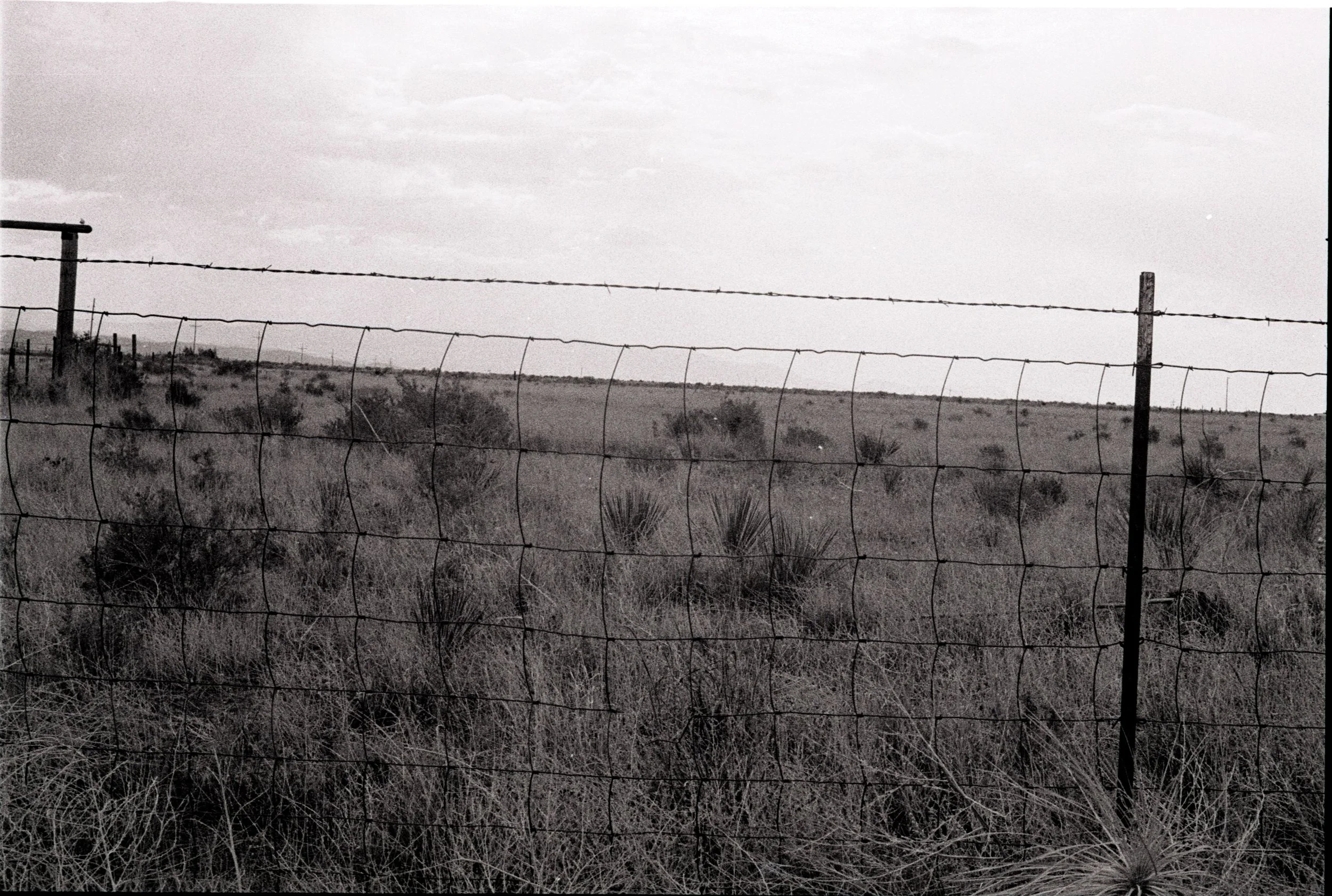 Untitled (62).jpeg