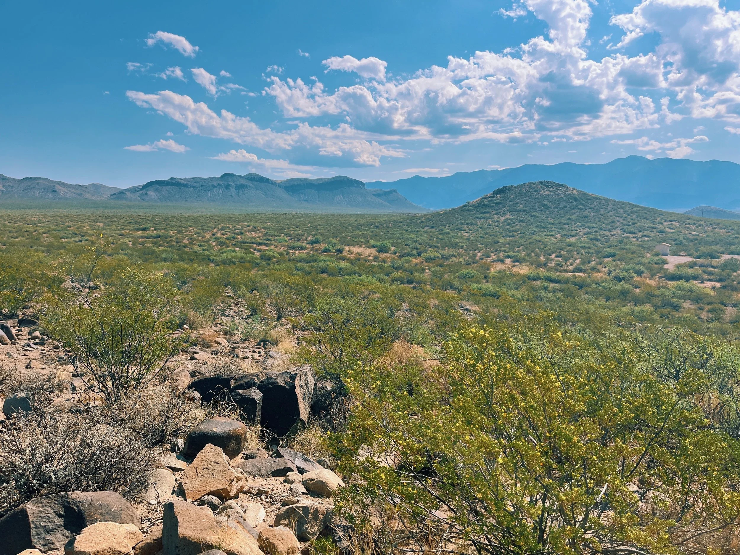 Meet Me in New Mexico