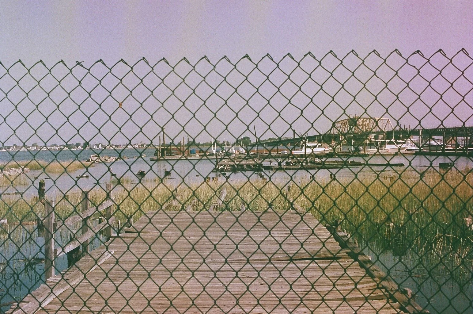 IMG_6010.jpeg