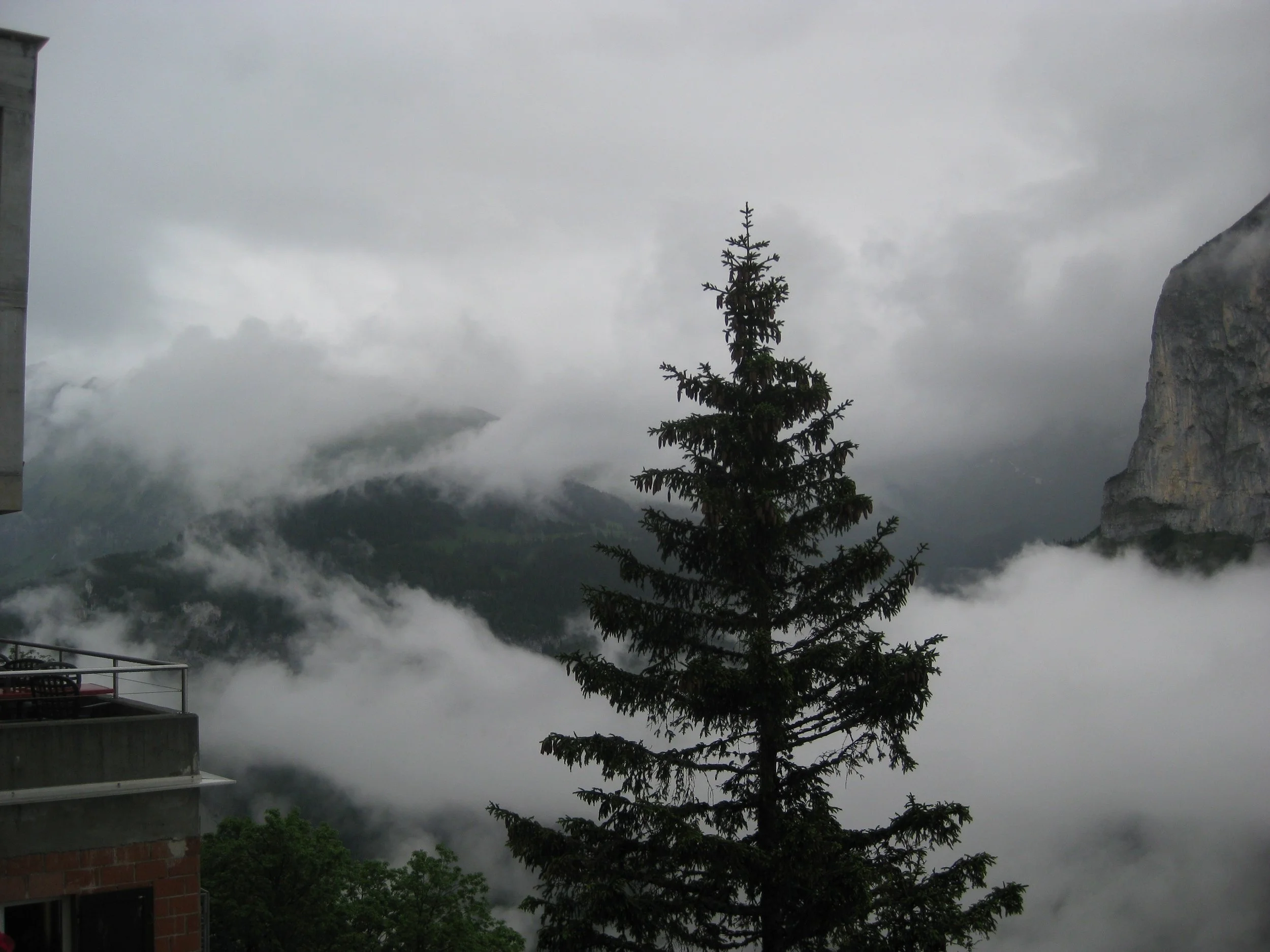 IMG_4150.jpeg