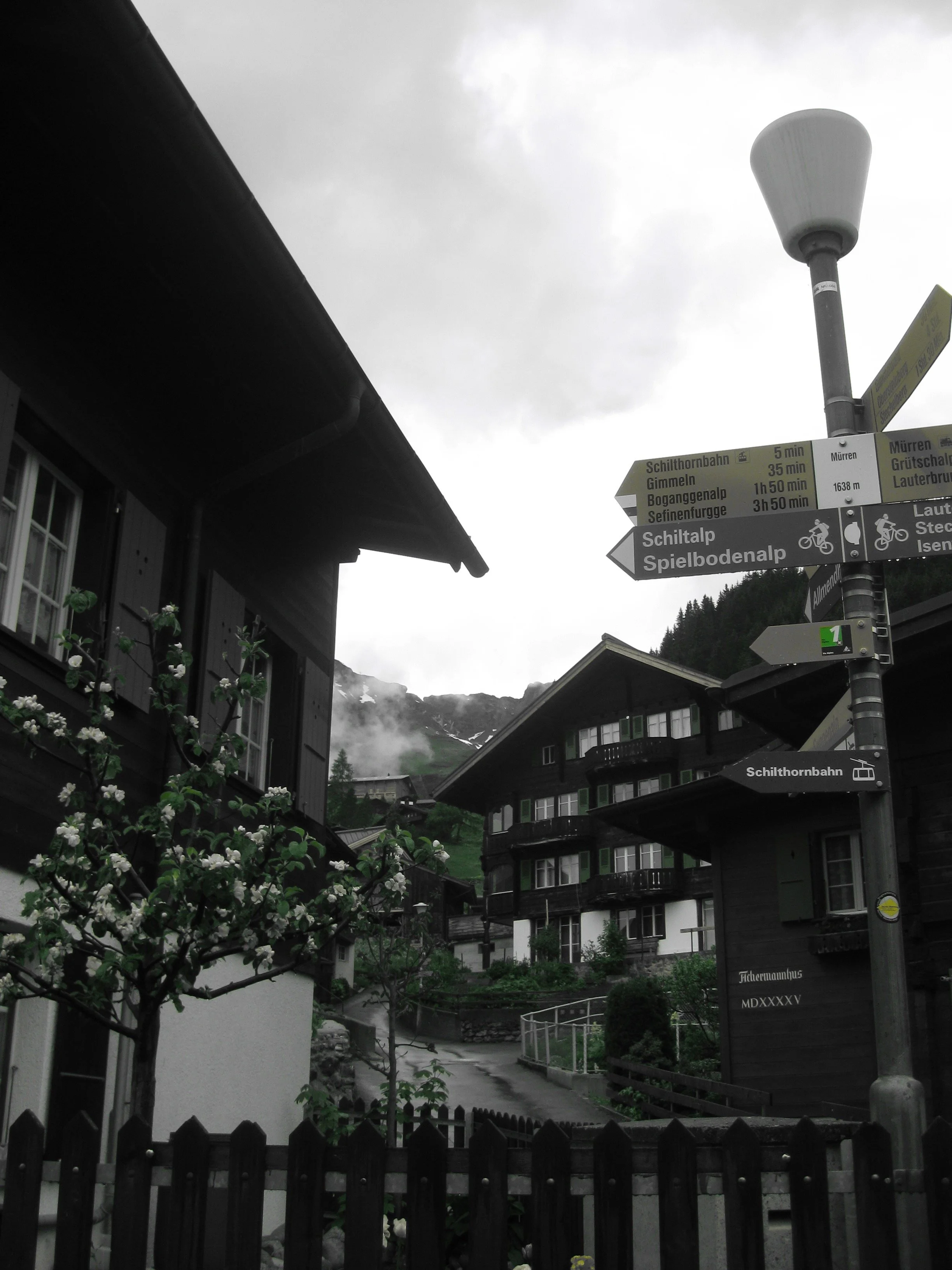 IMG_4183.jpeg