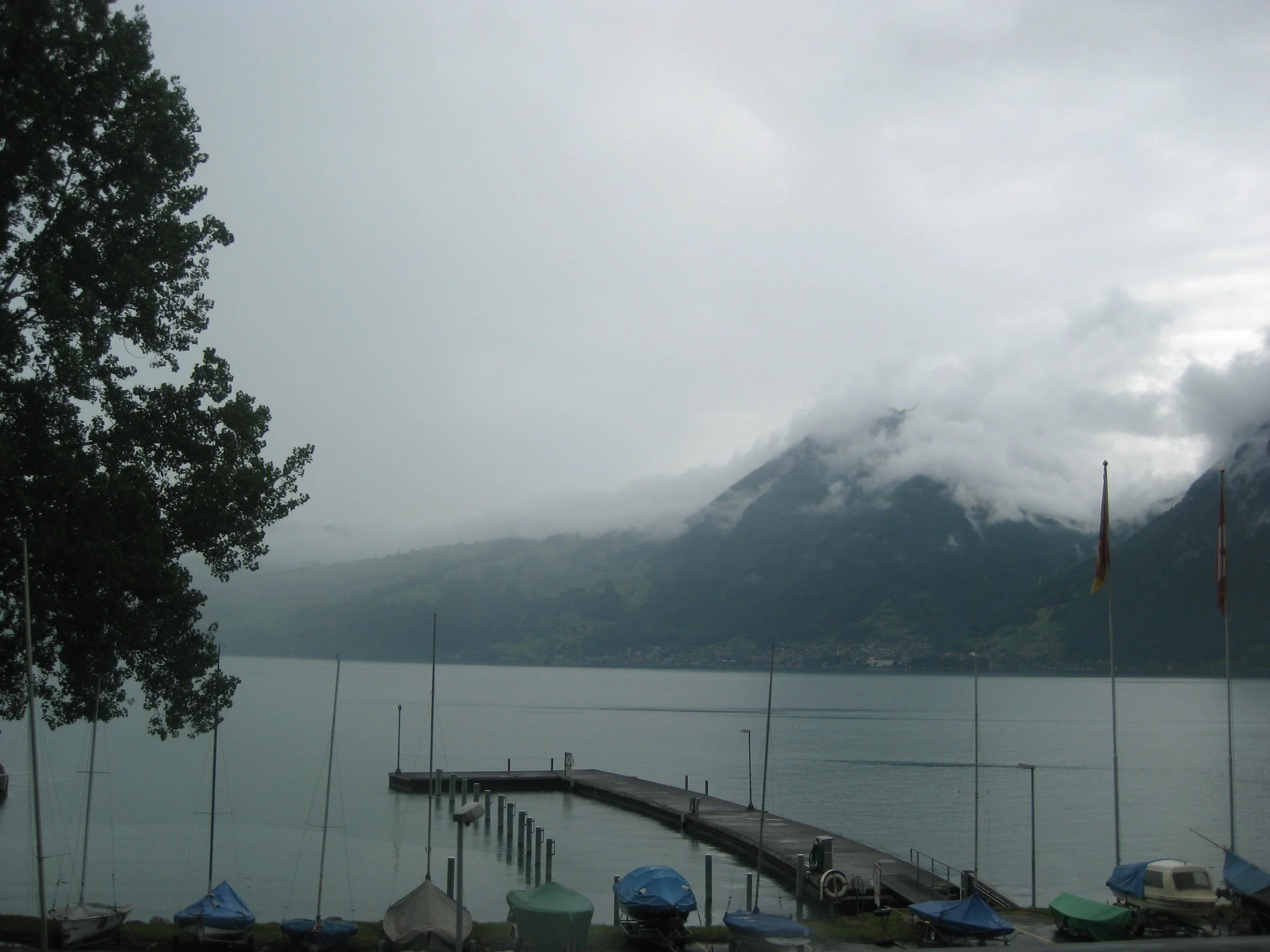 IMG_4205.jpeg