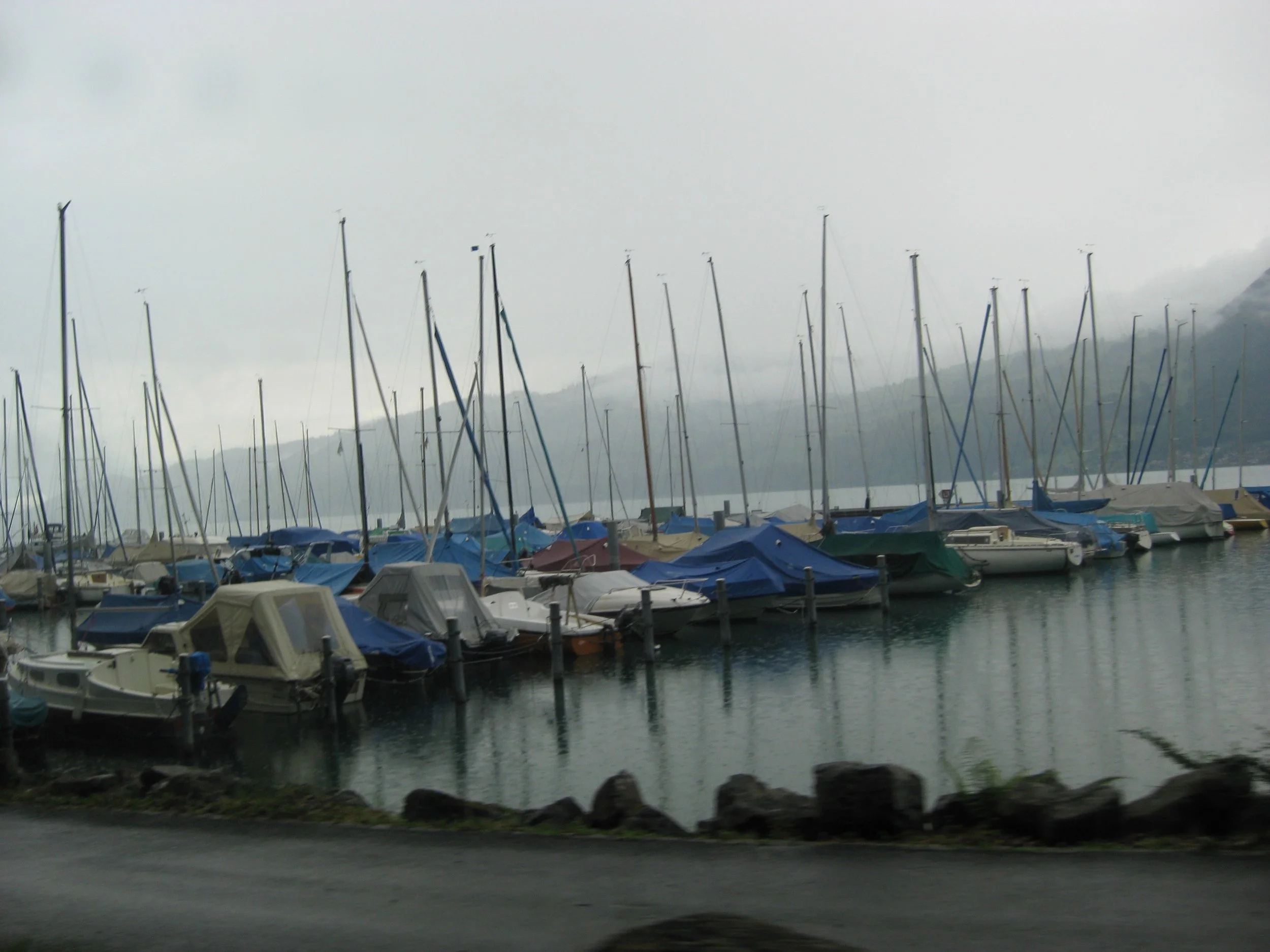 IMG_4206.jpeg