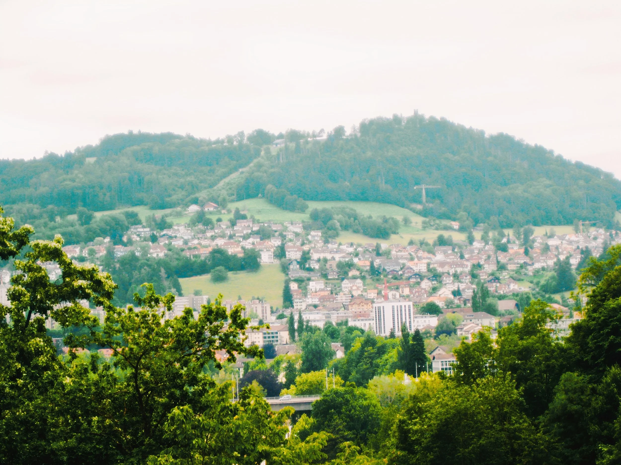 Swiss Bliss
