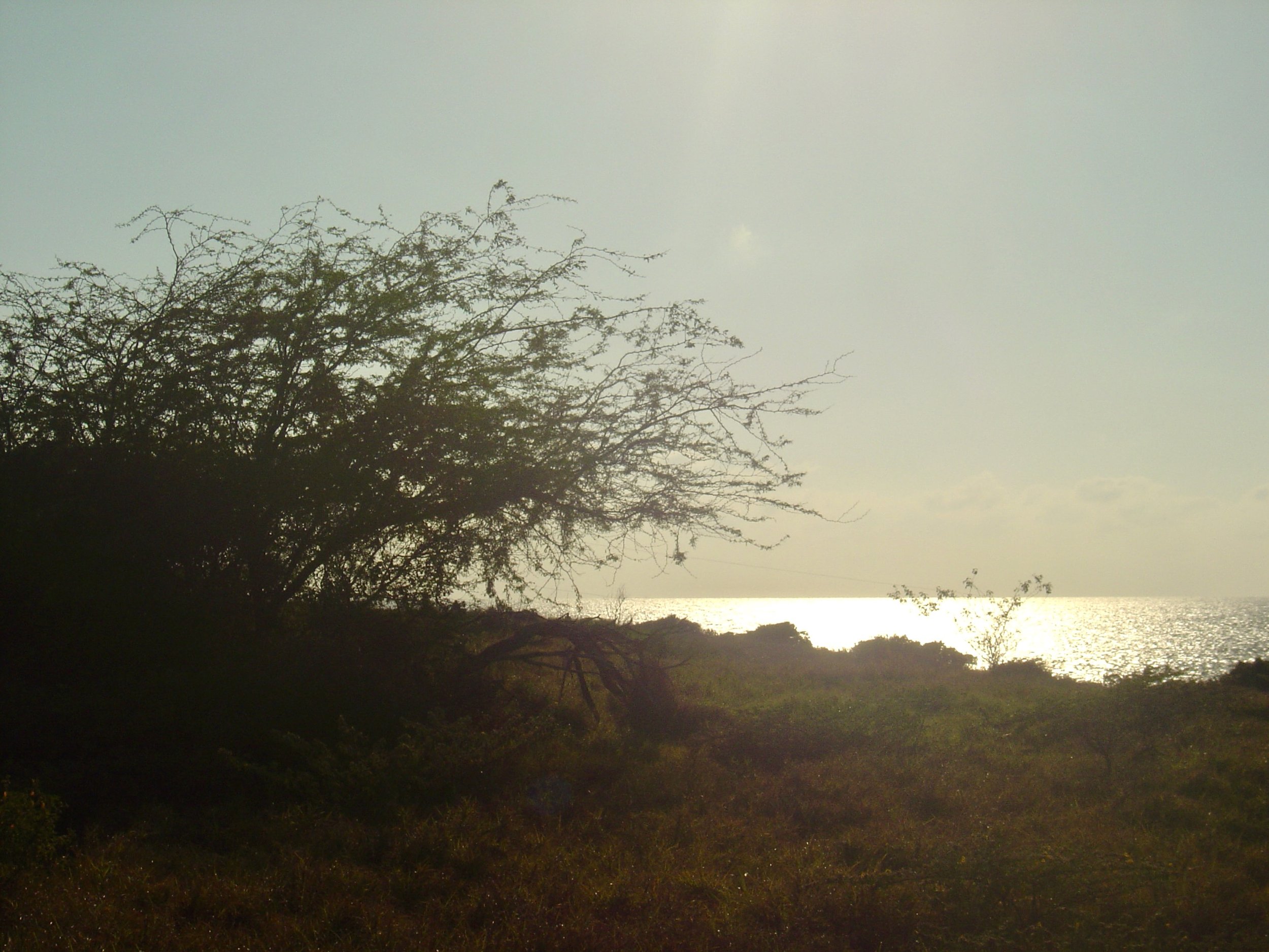 DSC00867.jpeg