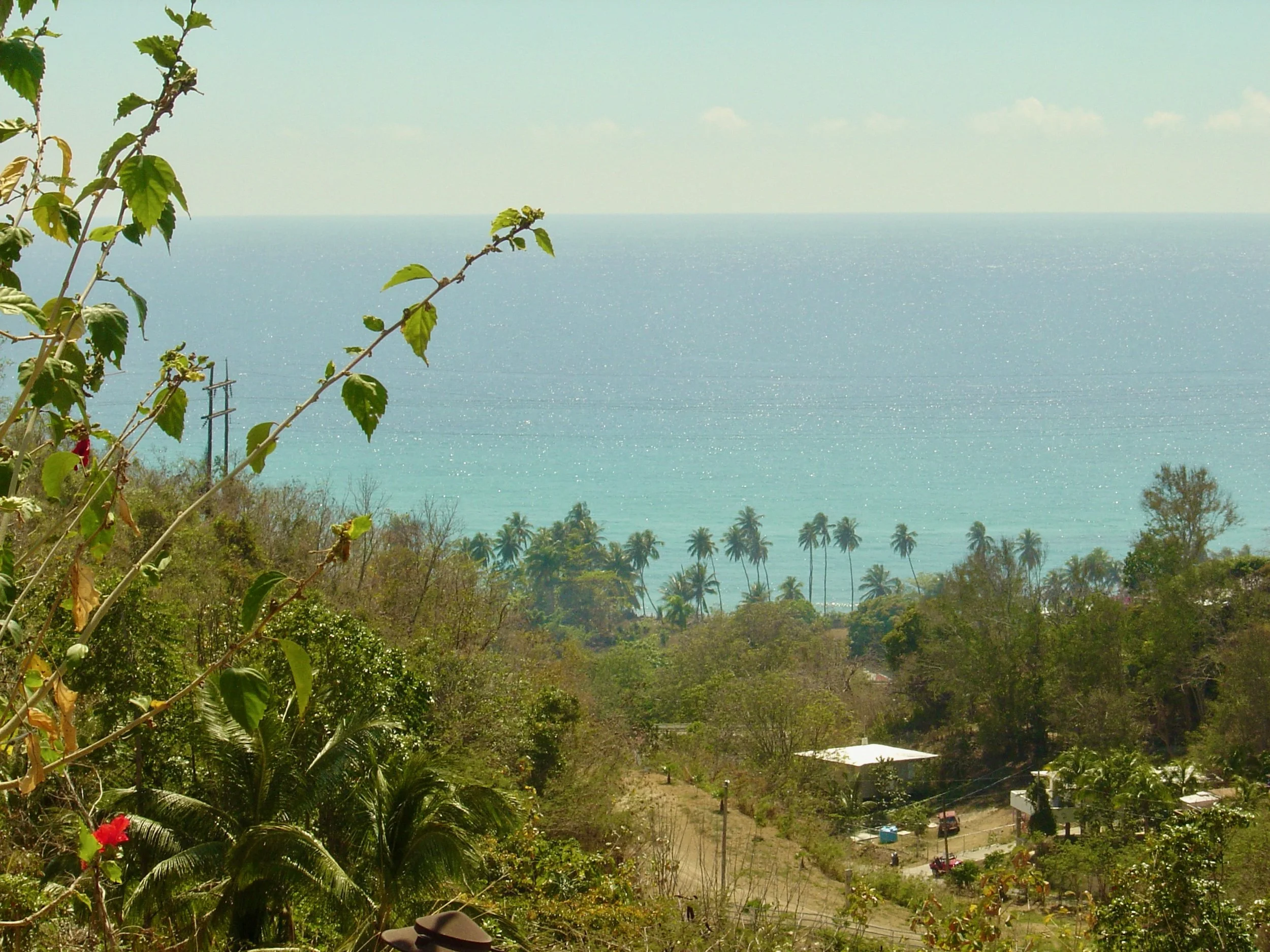 Puerto Rico, My Heart’s Devotion