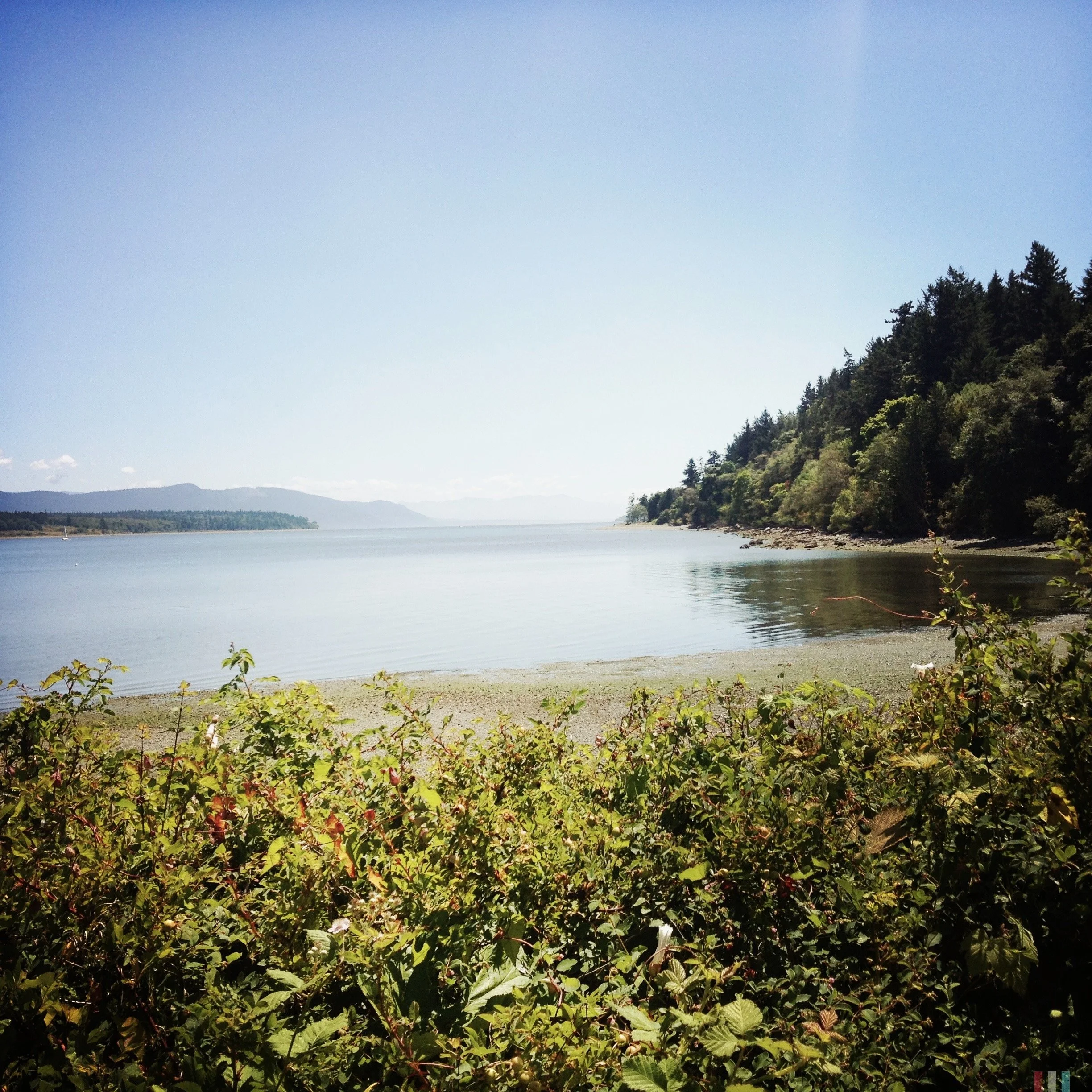 IMG_0907.jpeg