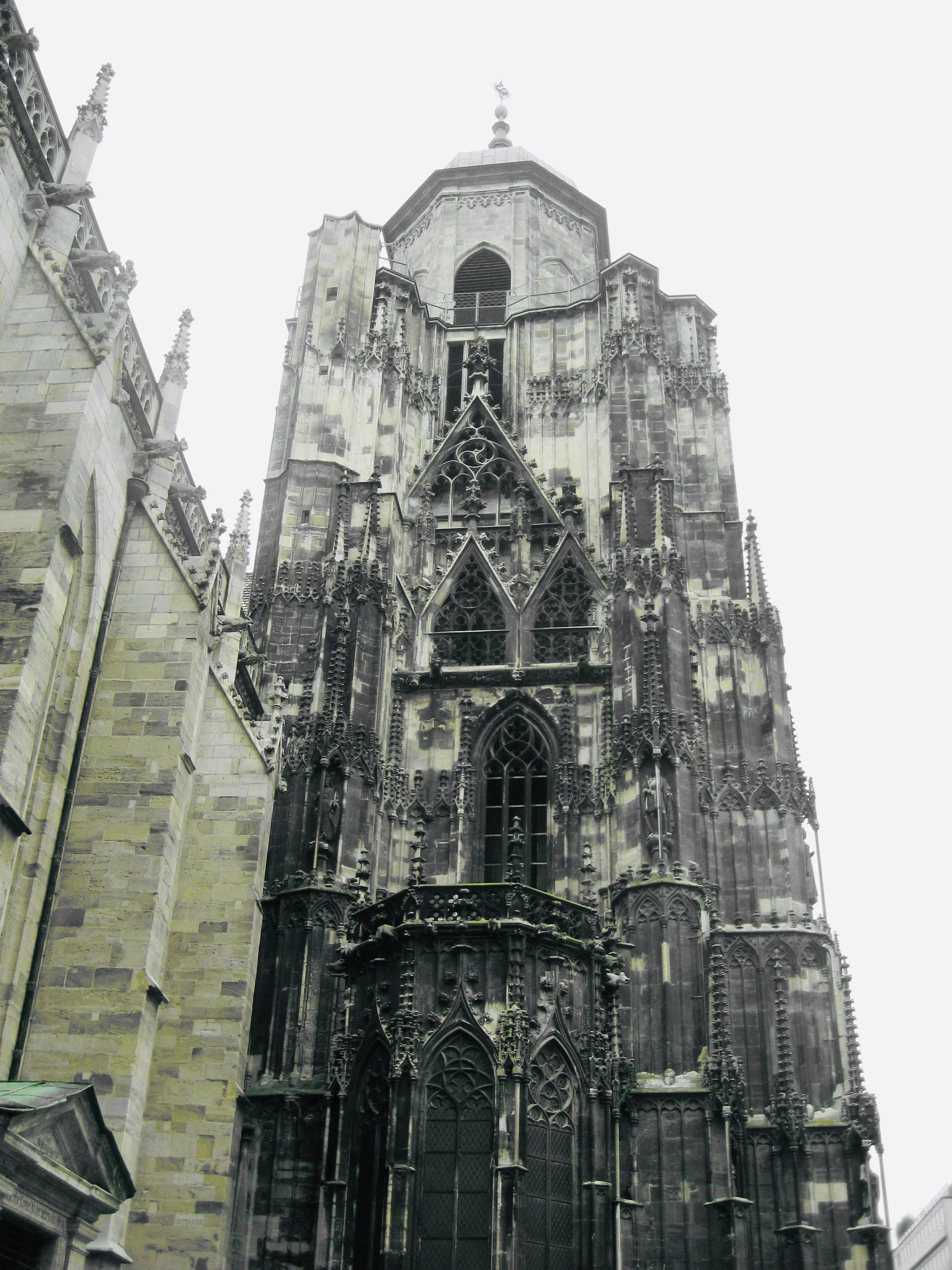 IMG_3125.jpeg