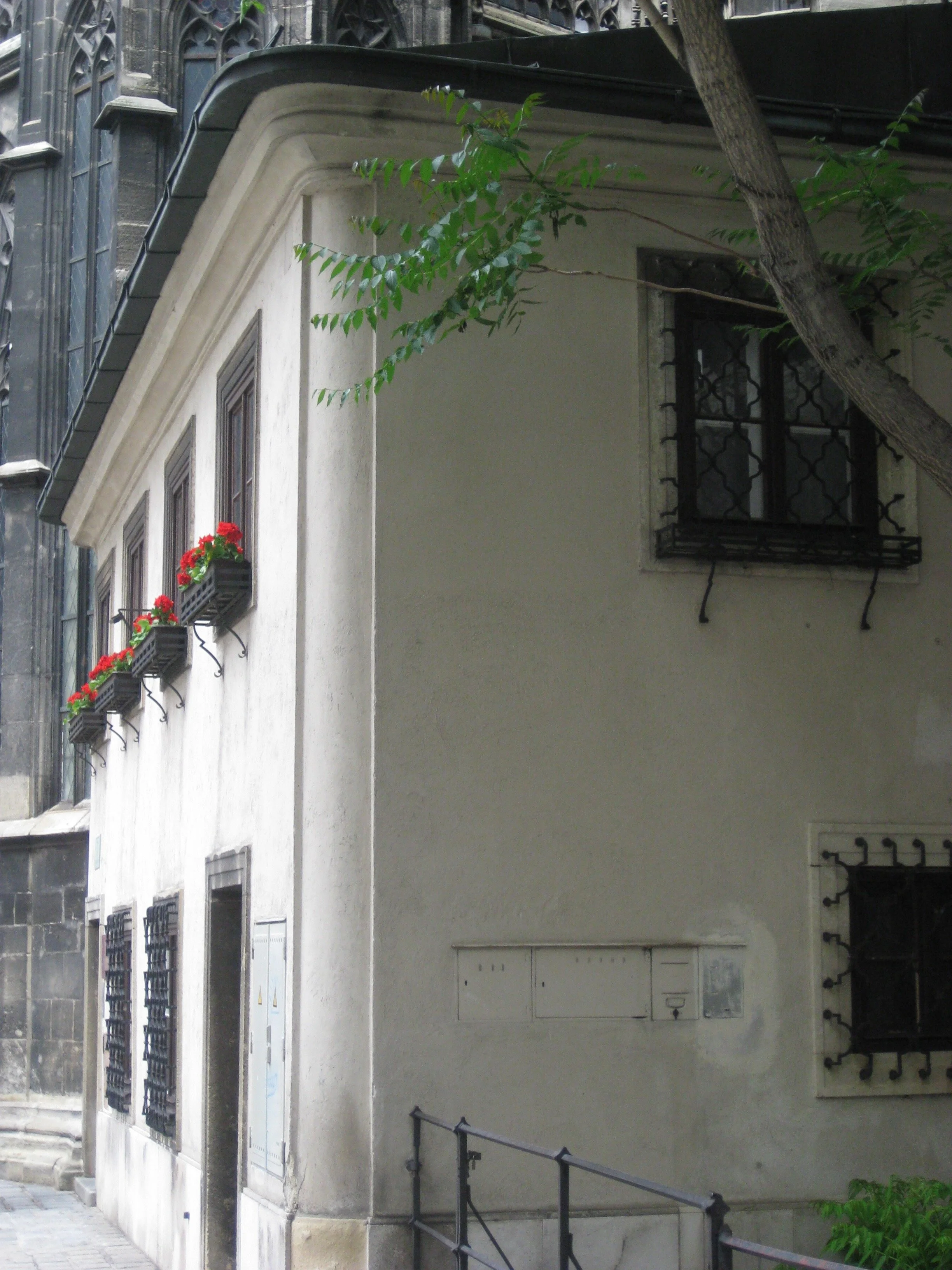 IMG_3129.jpeg