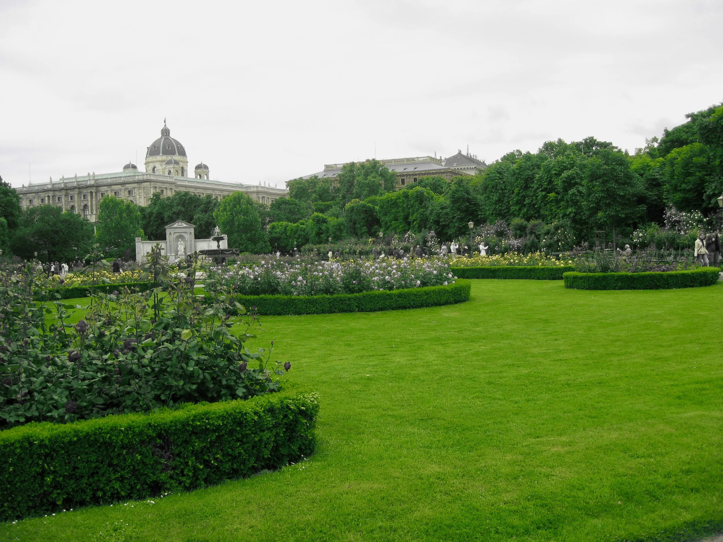 IMG_3272(1).jpeg
