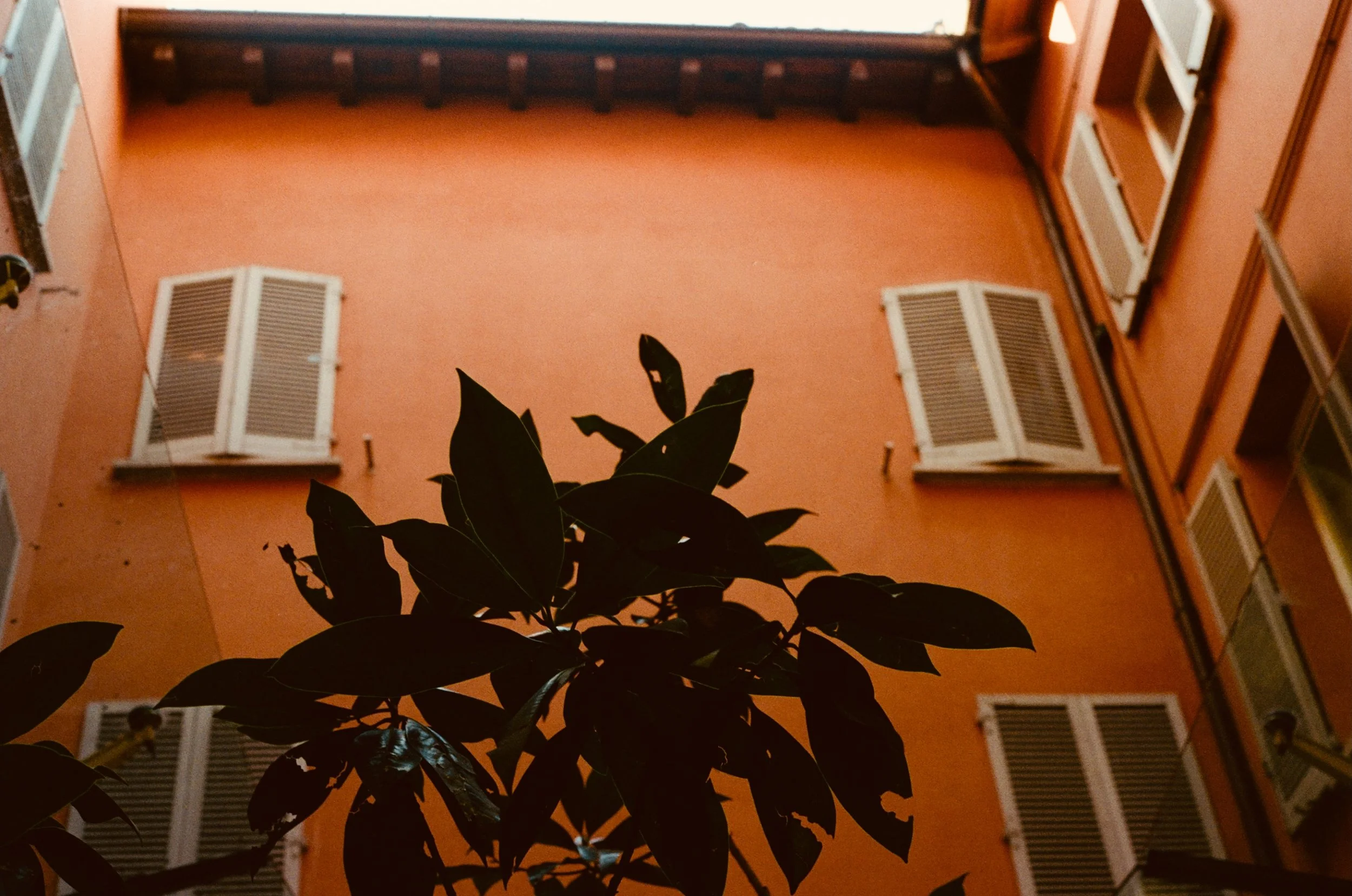 kodak_200_c_41_40775_117870_265251_002652510017.jpeg