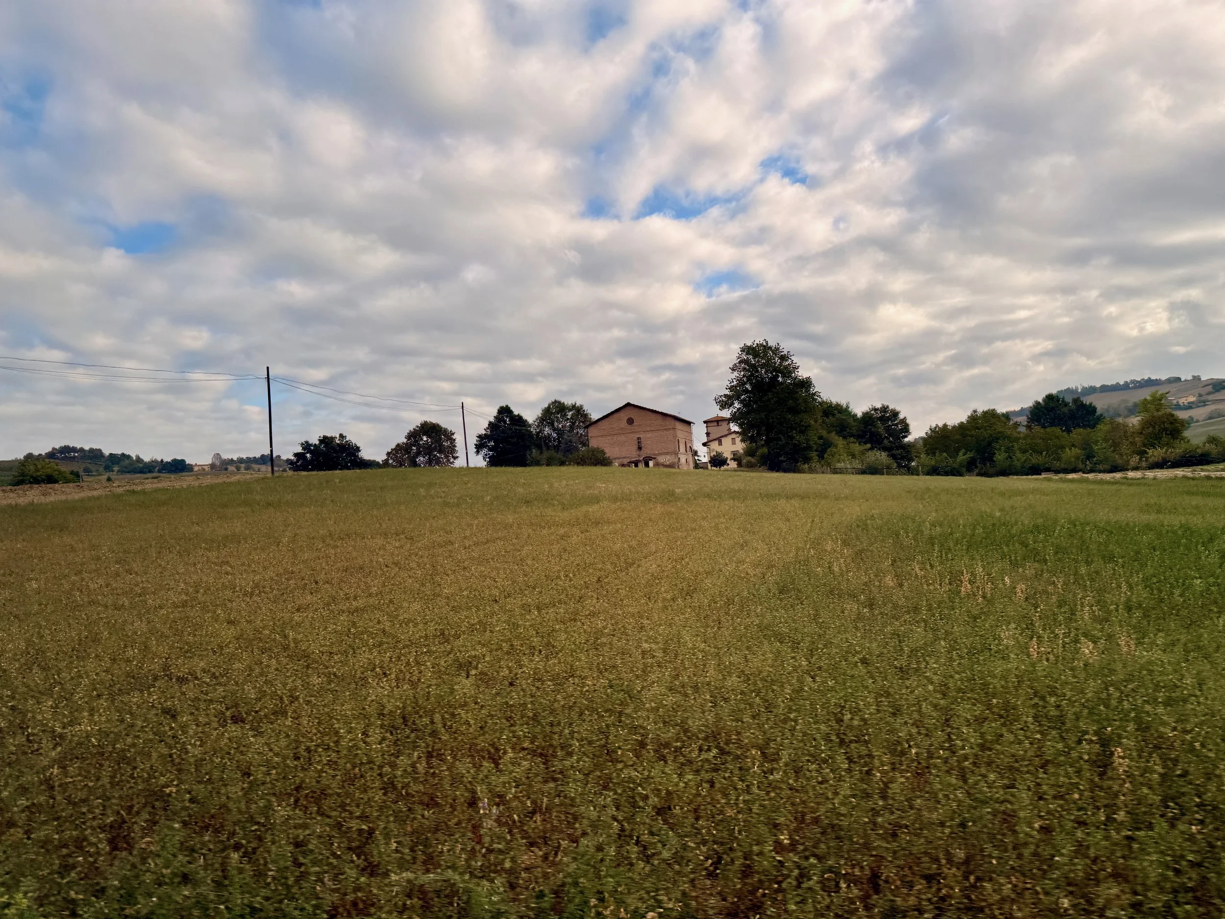 IMG_3047.jpeg