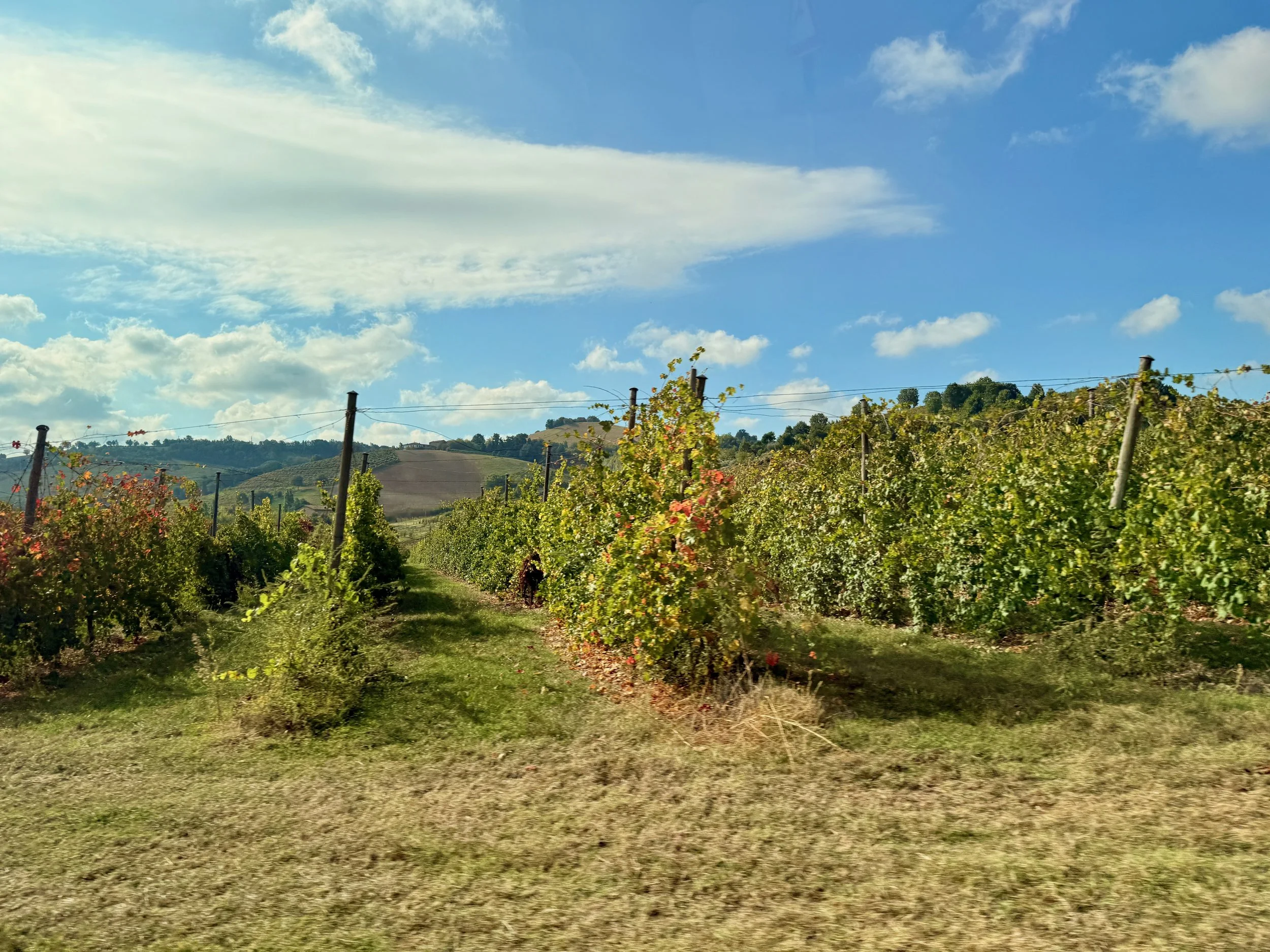 IMG_3103.jpeg
