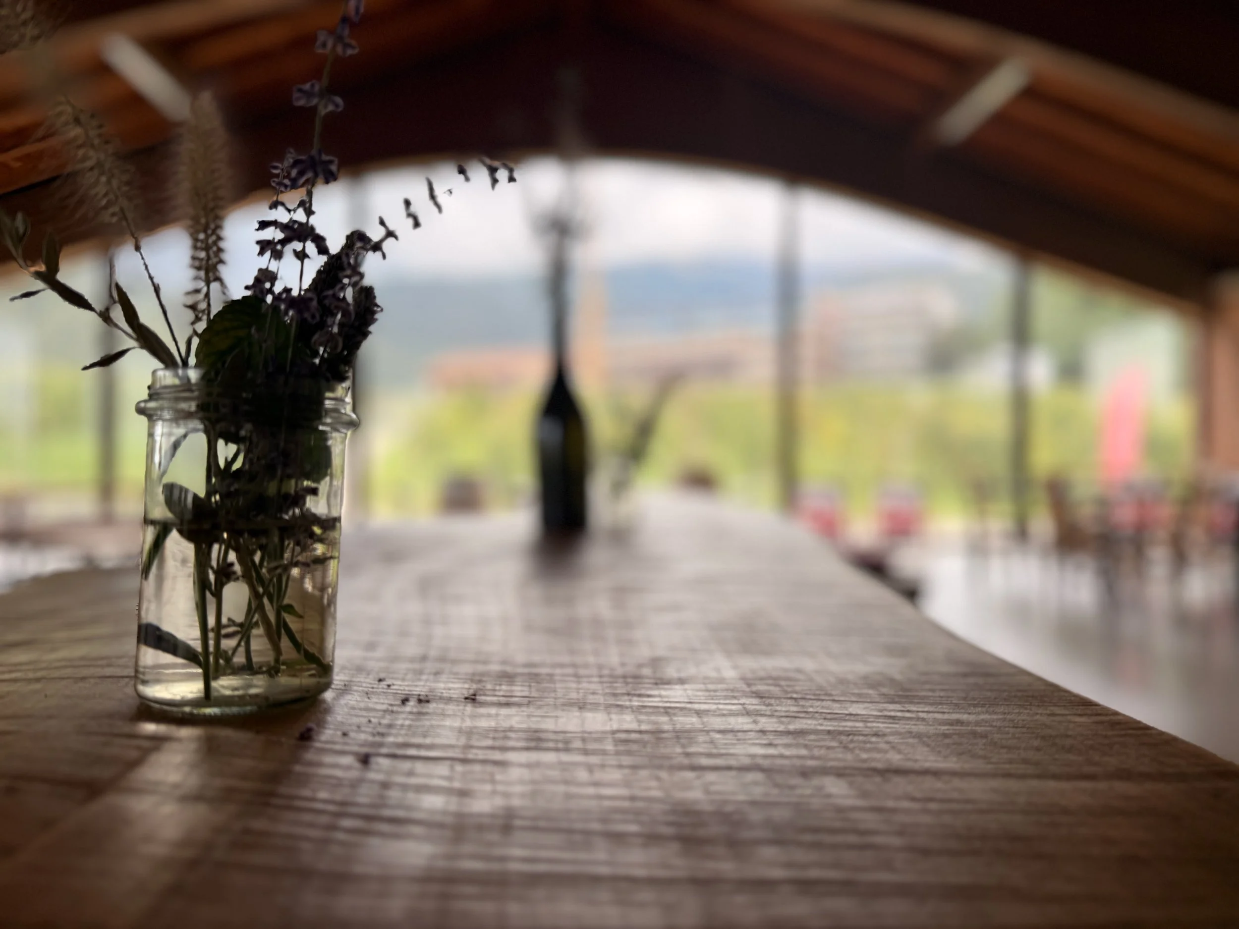 Under the Tuscan Sun