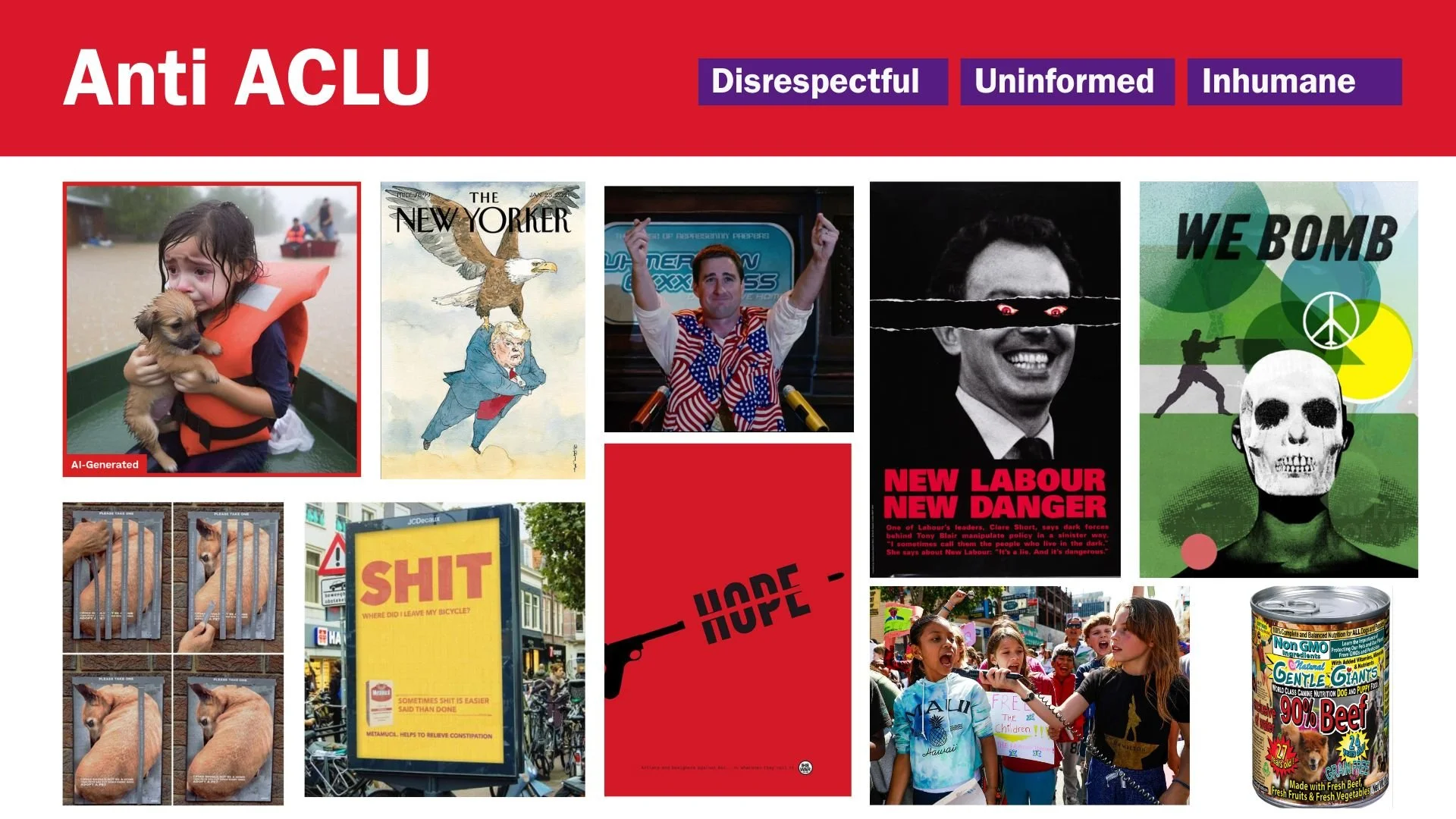 ACLU Disability Rights Phase 2 (2).jpg