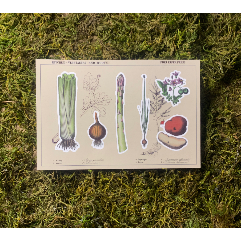 Winter Vegetables Sticker Sheet