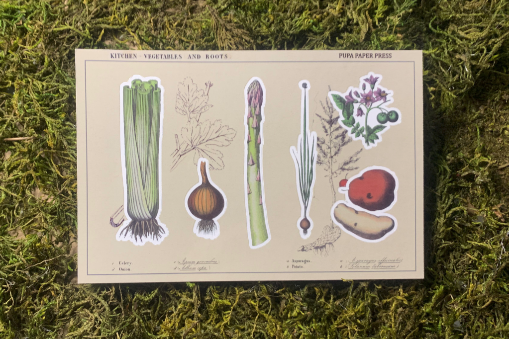 veggies.png
