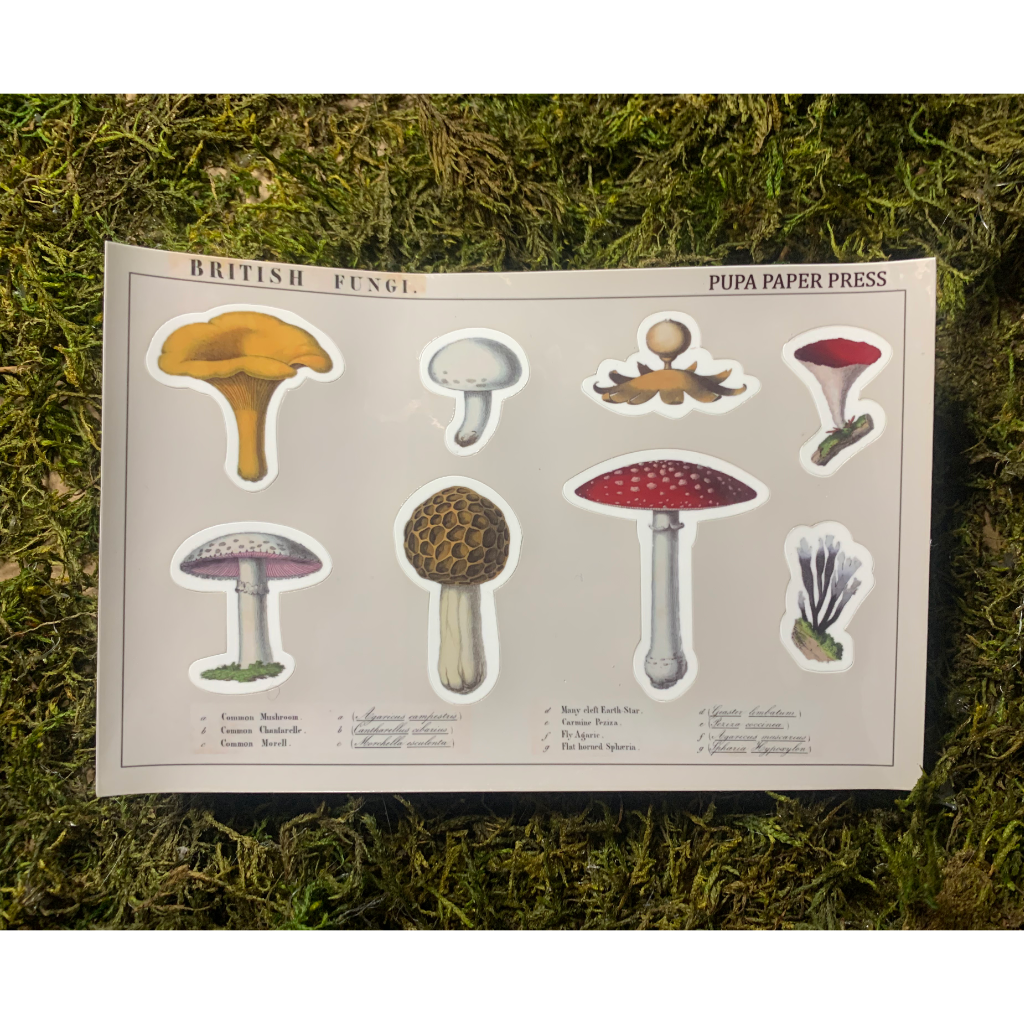 British Mushrooms Sticker Sheet