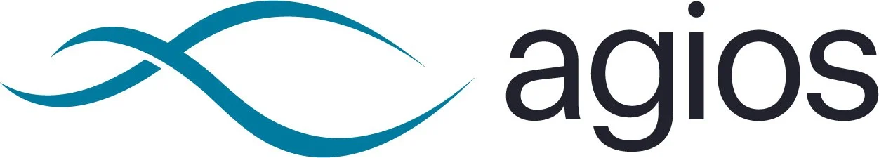 02-Agios_2021_Logo.jpg