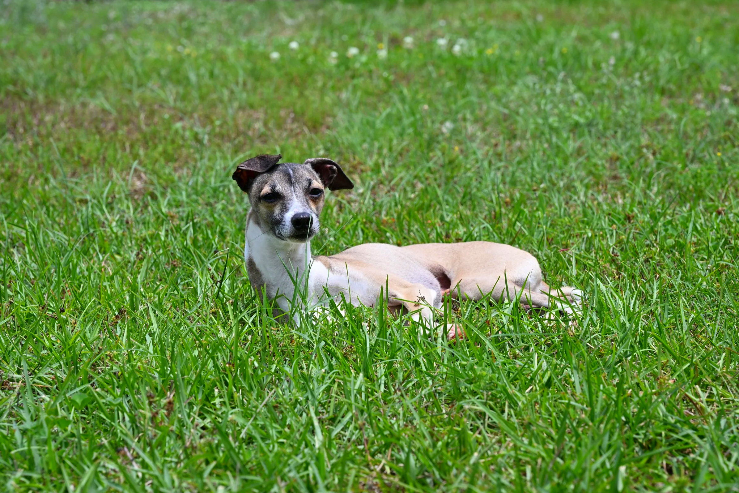 DSC_0044.png