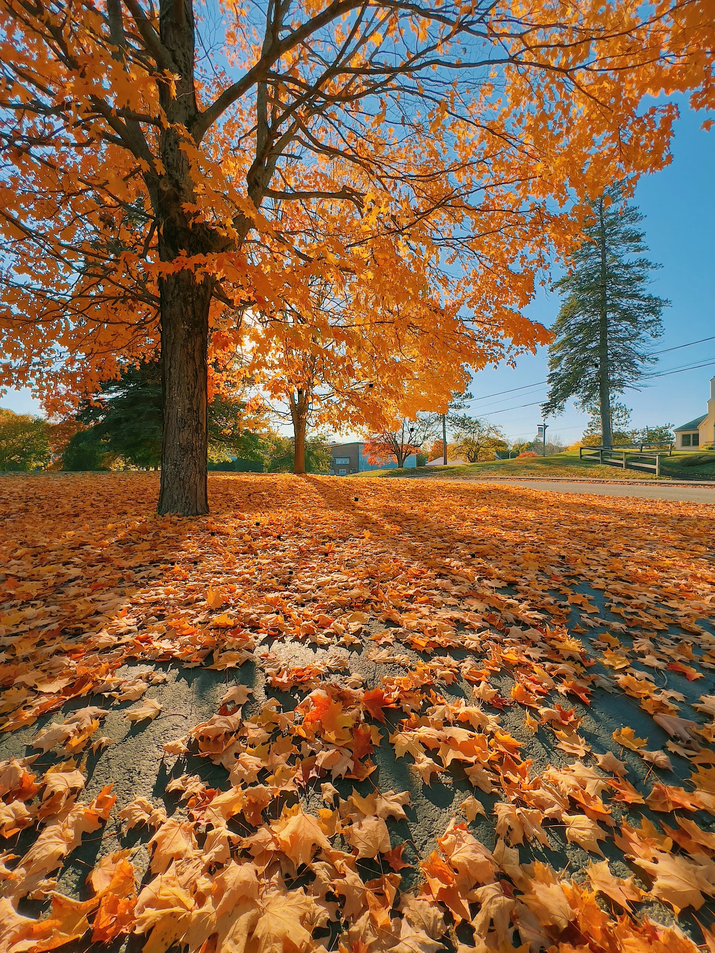 October Fun in Western Washington!