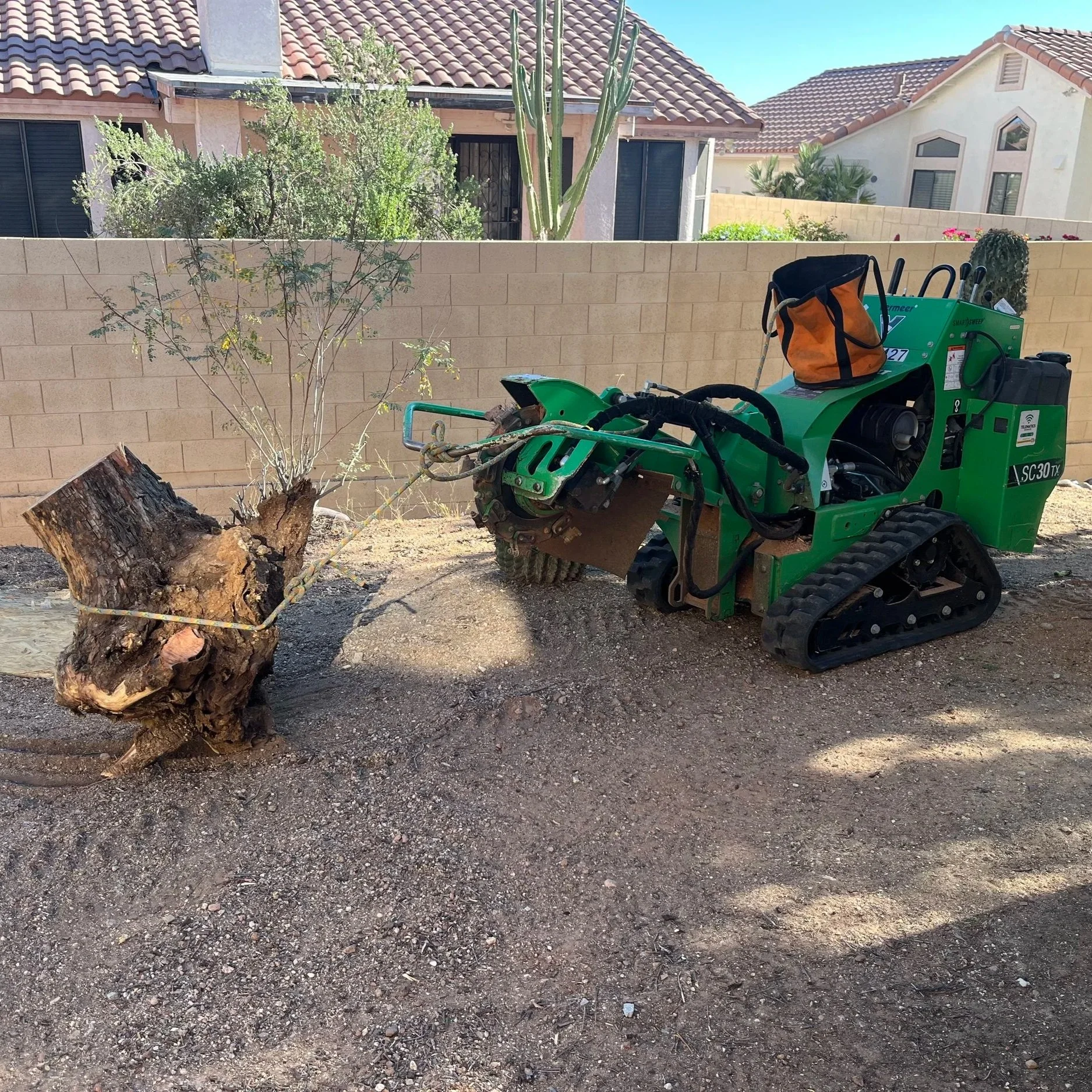 A small construction or yard maintenance machine with rubber tracks and a green body is seen in a backyard. It is positioned near a bushy tree with exposed roots and a large cactus. In the background, there is a beige brick wall, a house with a tiled roof, and neighboring houses with similar styles. The ground is bare soil.