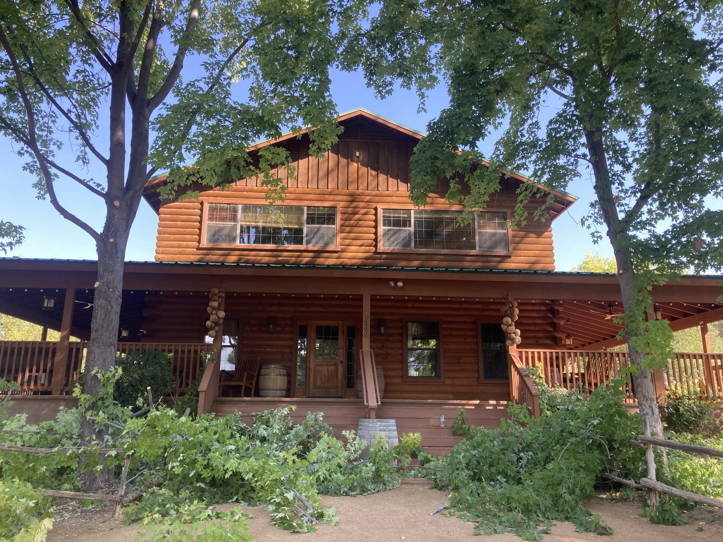A wooden house with large windows, surrounded by green trees, with a blue sky in the background.