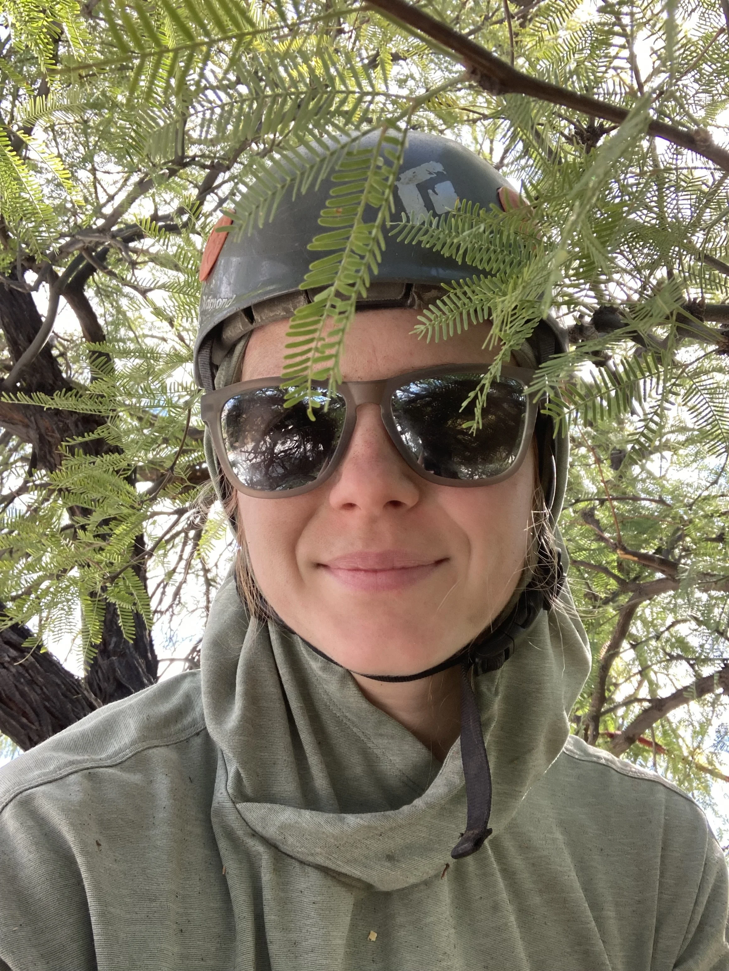 A person wearing sunglasses, a helmet, and a gray hoodie, partially obscured by green tree branches with dense leaves, outdoors during daytime.