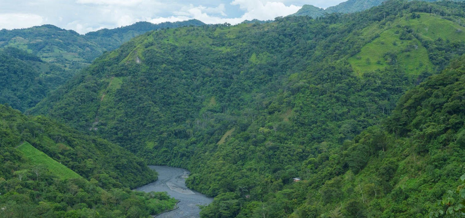 Lush green mountains with a river flowing through the valley.