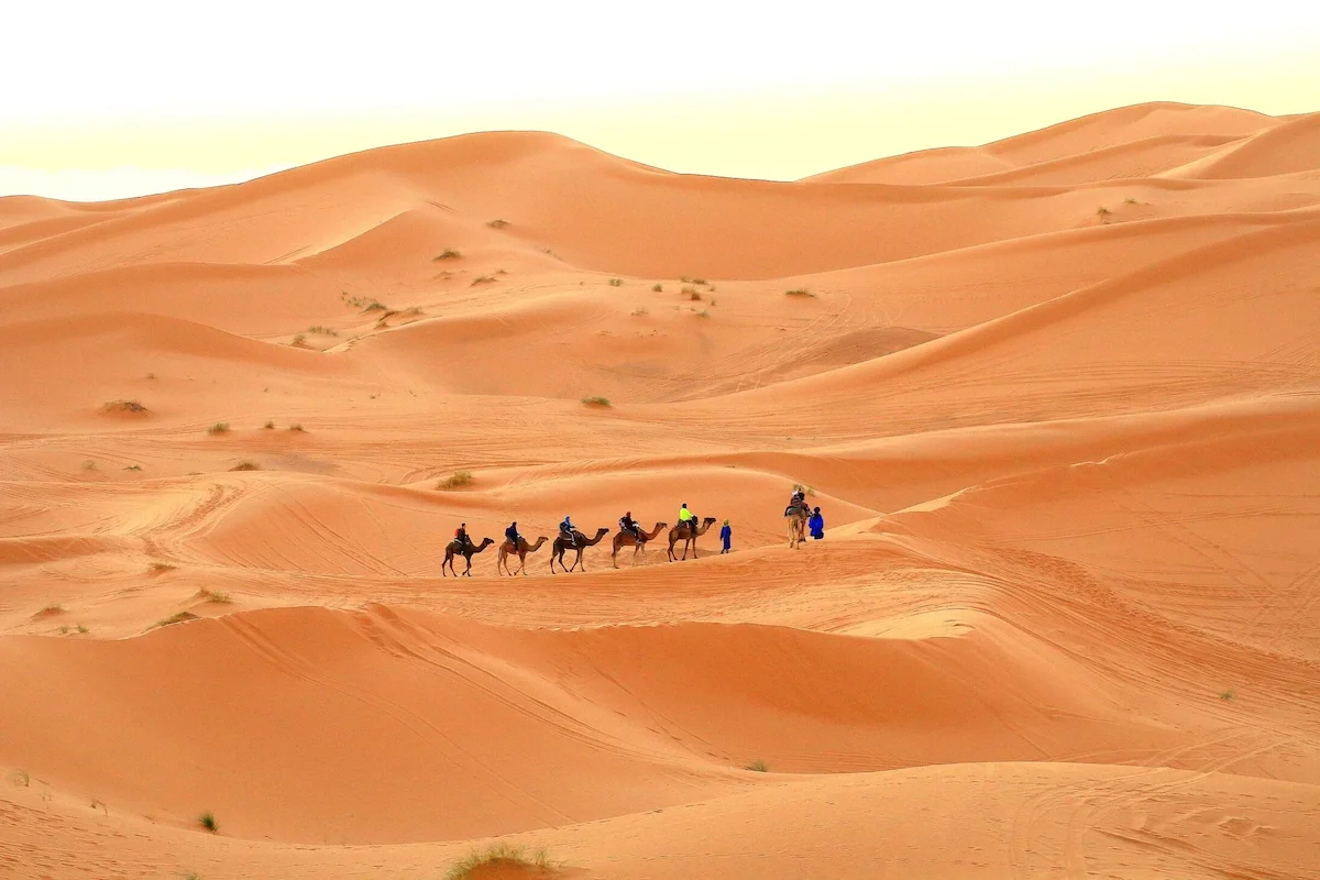 Group of people riding camels through a desert with sand dunes and sparse vegetation.