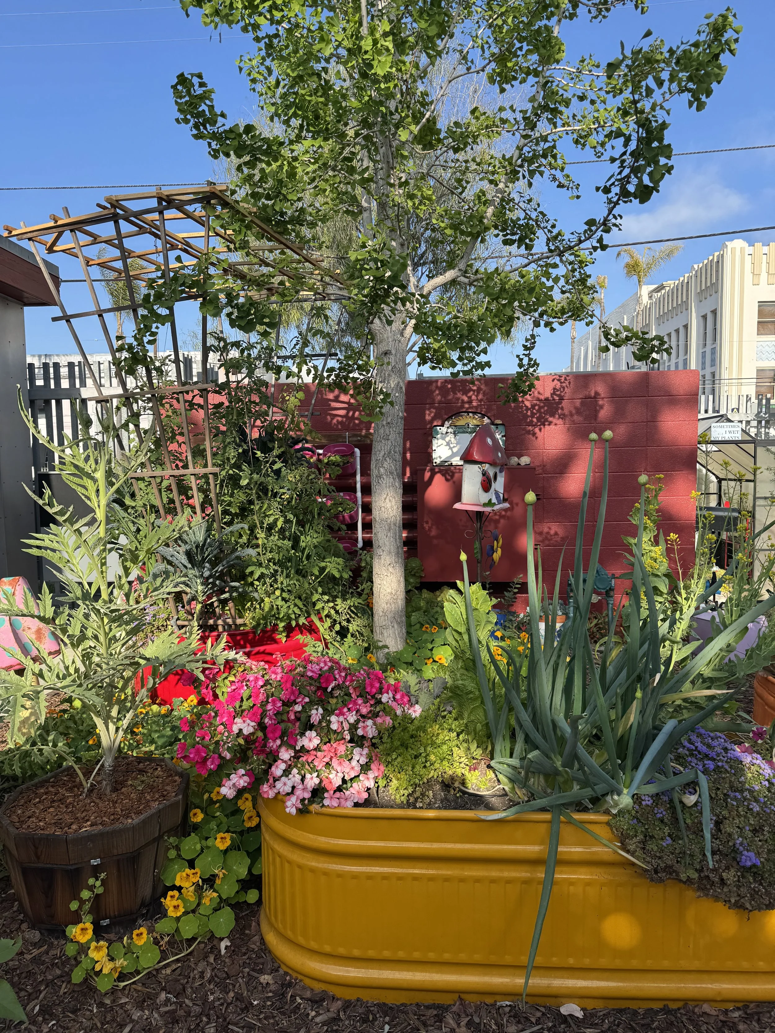 Garden 3.jpg