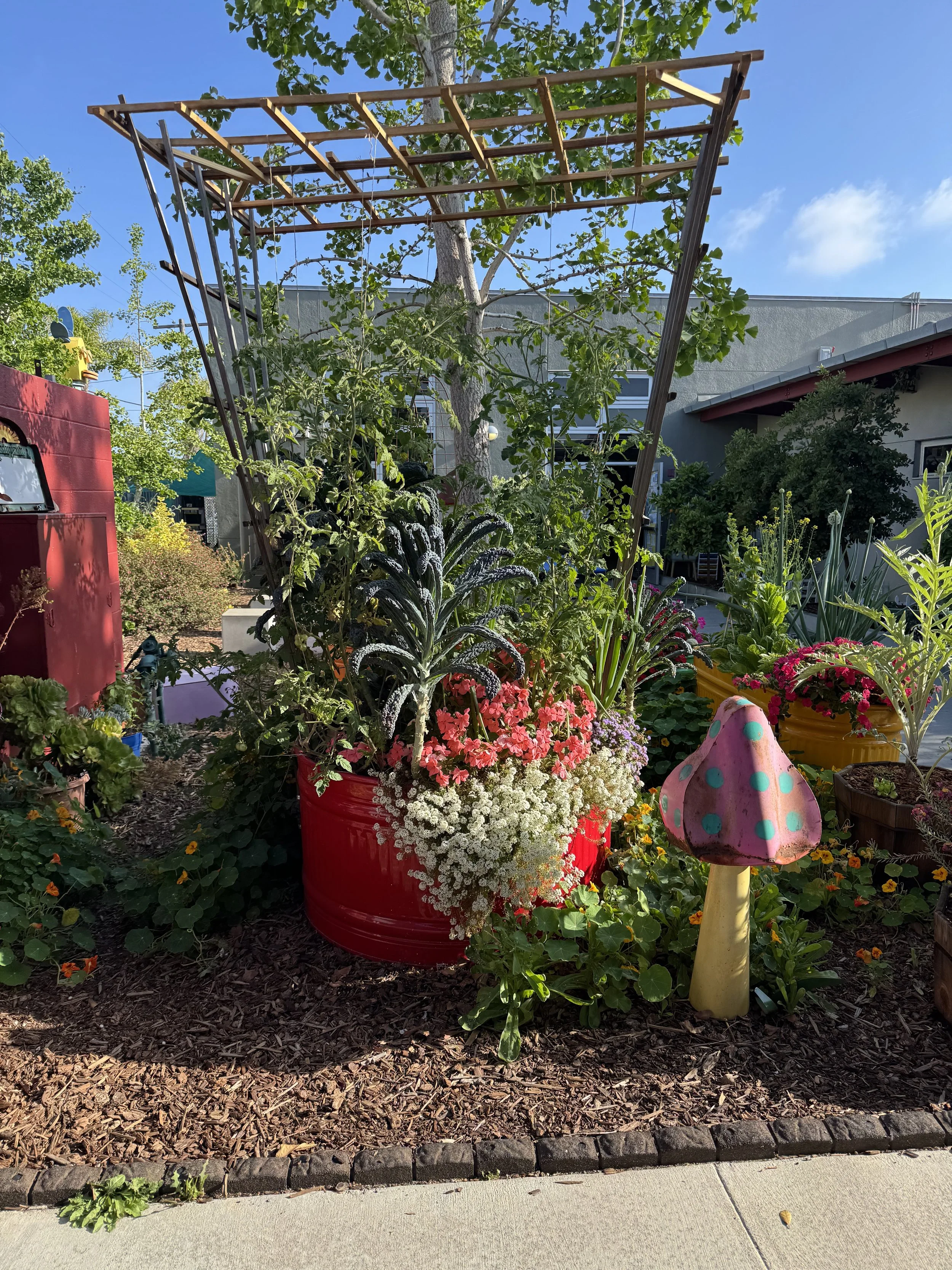 Garden 2.jpg