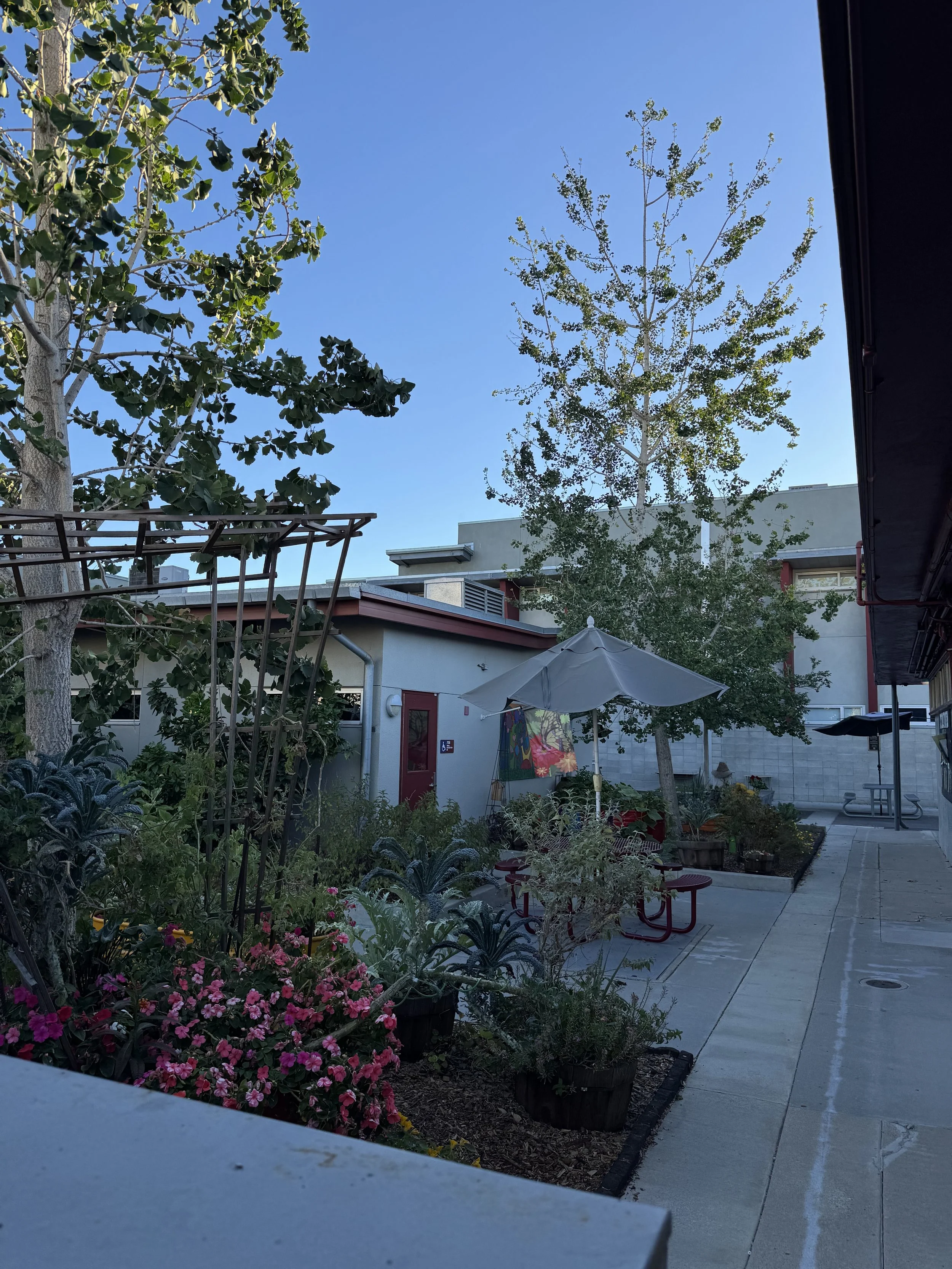 garden.jpg
