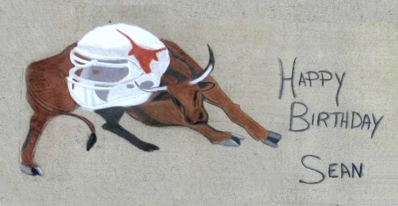 A drawing of a stretched out bull with a white skull on its back and the words "Happy Birthday Sean" written beside it.
