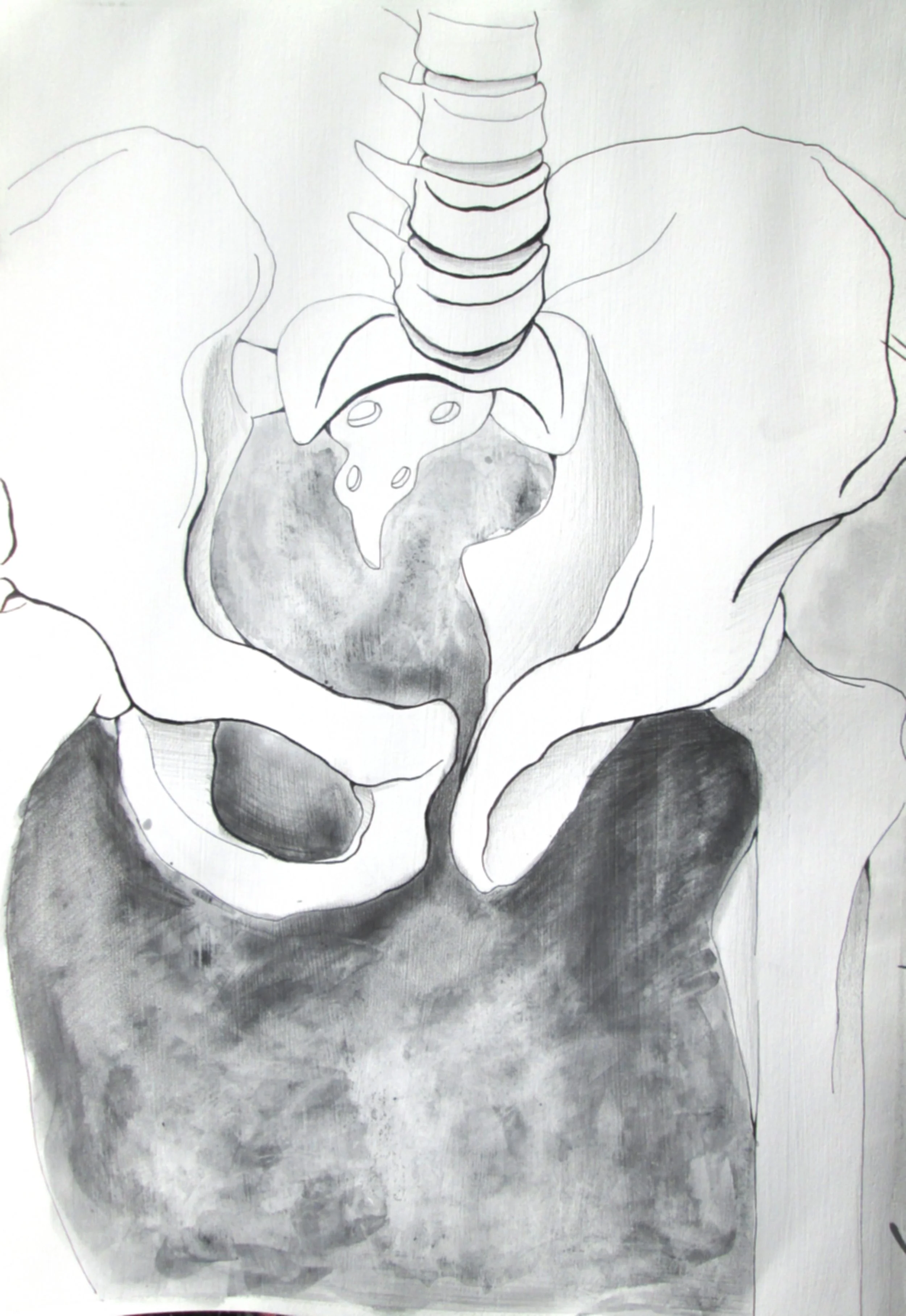 Black and white sketch of a human torso focusing on the chest area with detailed shading around the muscles and hands holding the sides of the body.