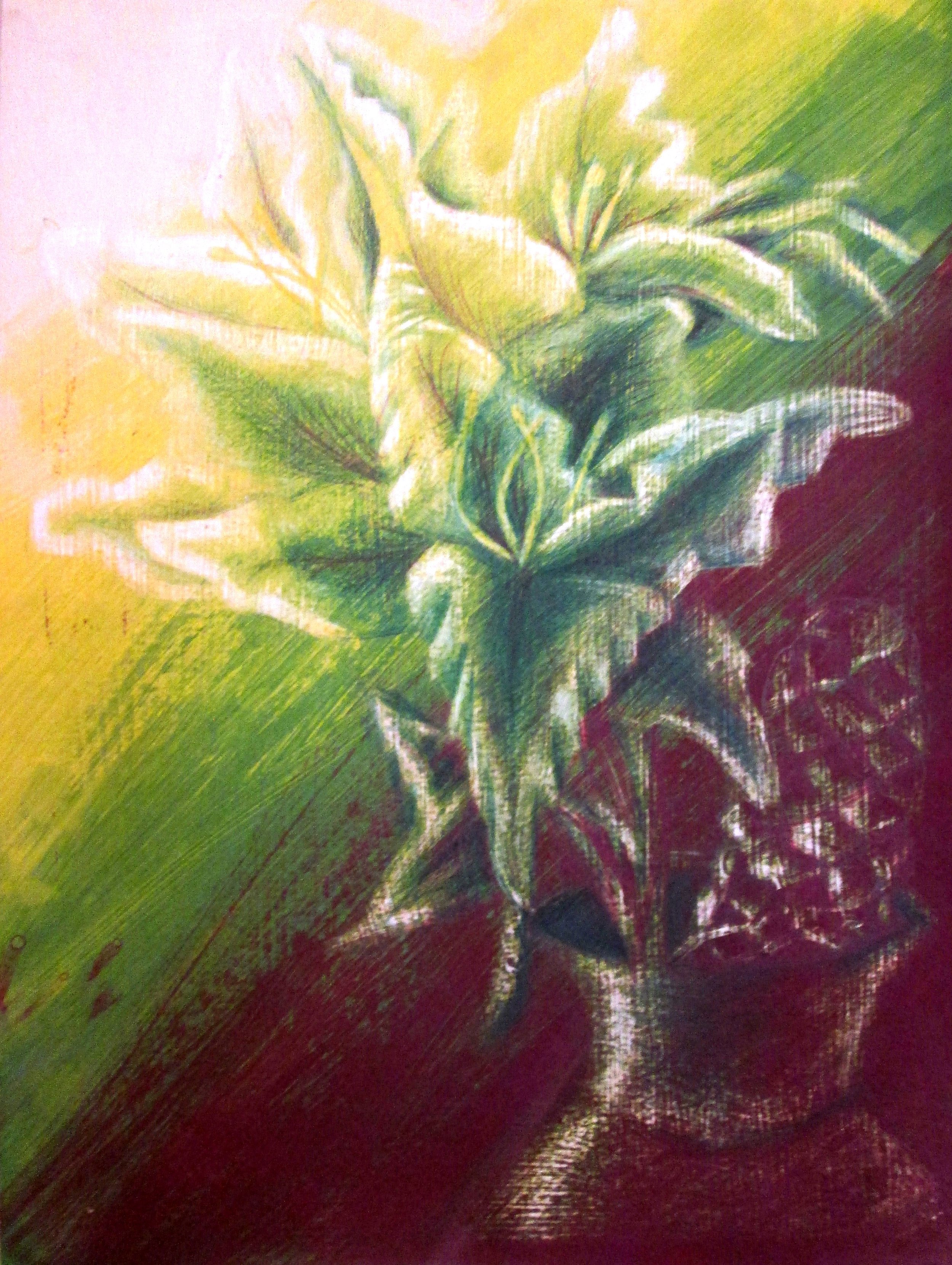 Drawing 2 01.jpg