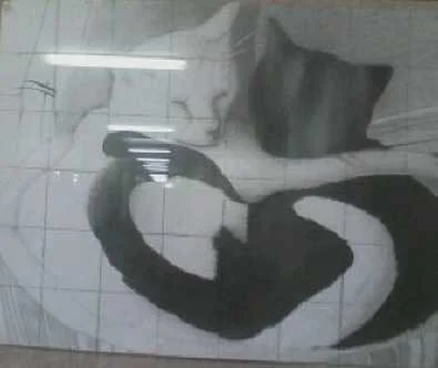 A person taking a mirror selfie in a bathroom, with a black and white cat sitting nearby.