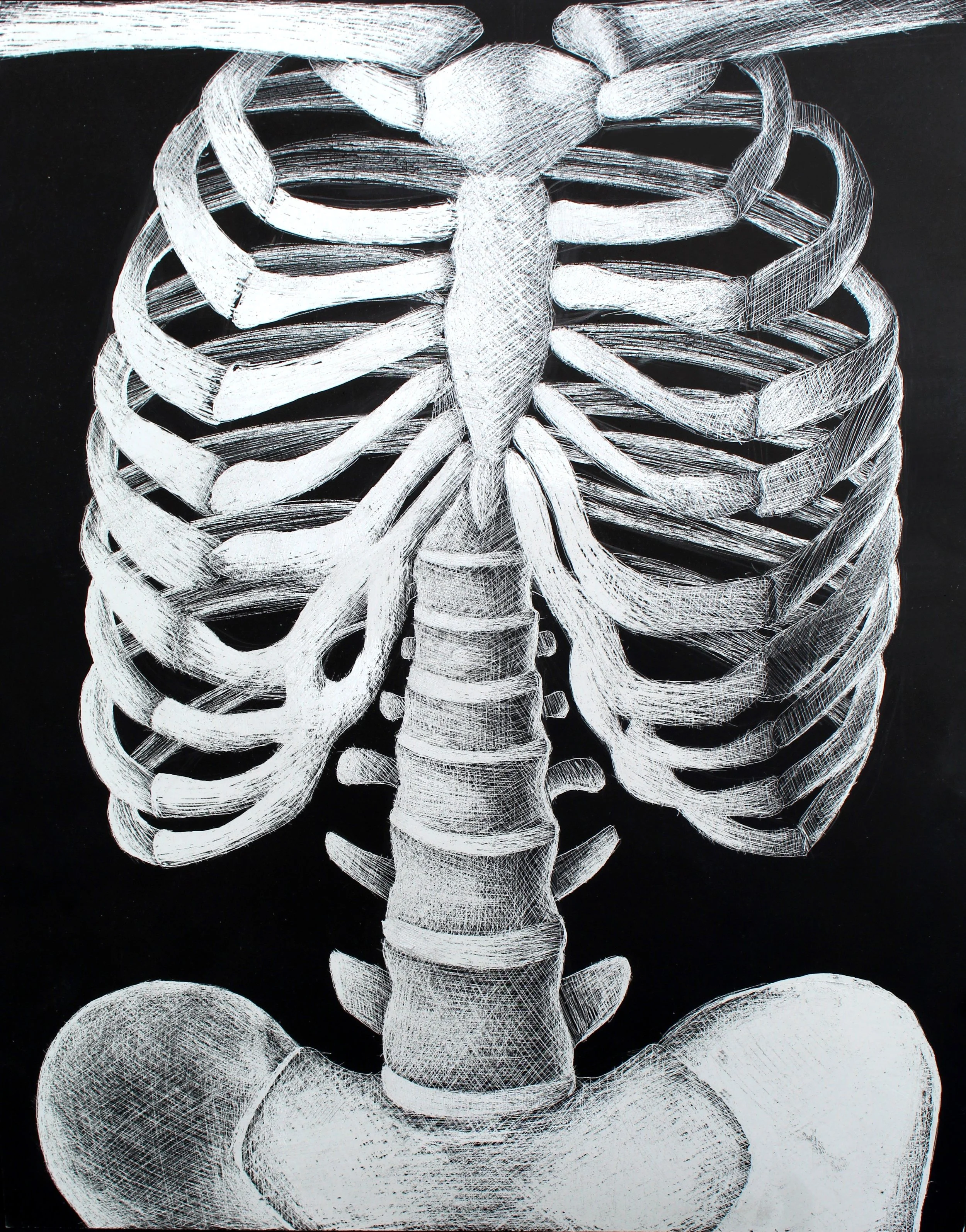 Artistic illustration of a human skeleton in white lines on a black background.
