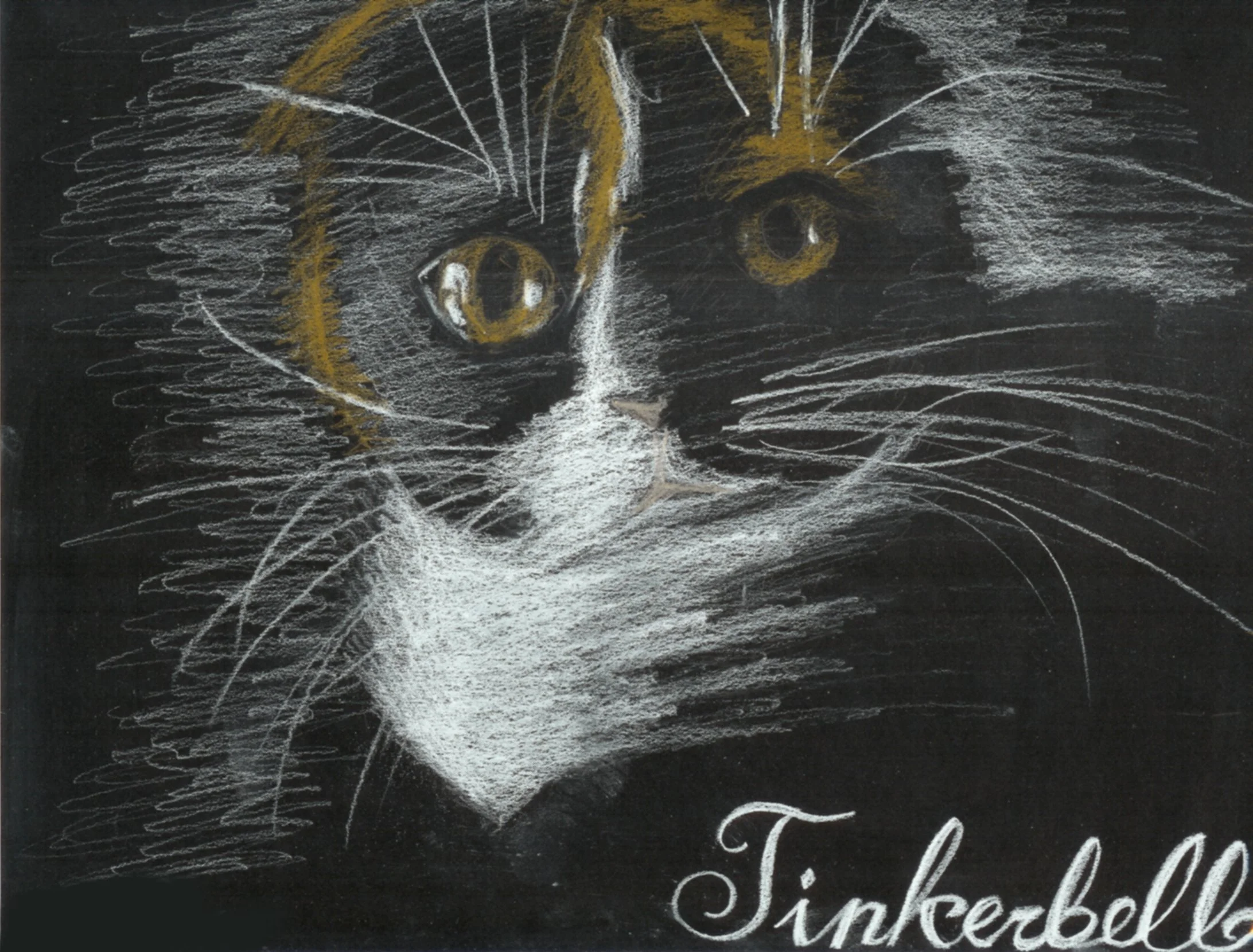 A chalkboard displaying a hand-drawn illustration of a cat's face on the left side, with the kitten's whiskers and facial features drawn primarily in white and some yellow, alongside decorative script text that is partially visible on the right side.