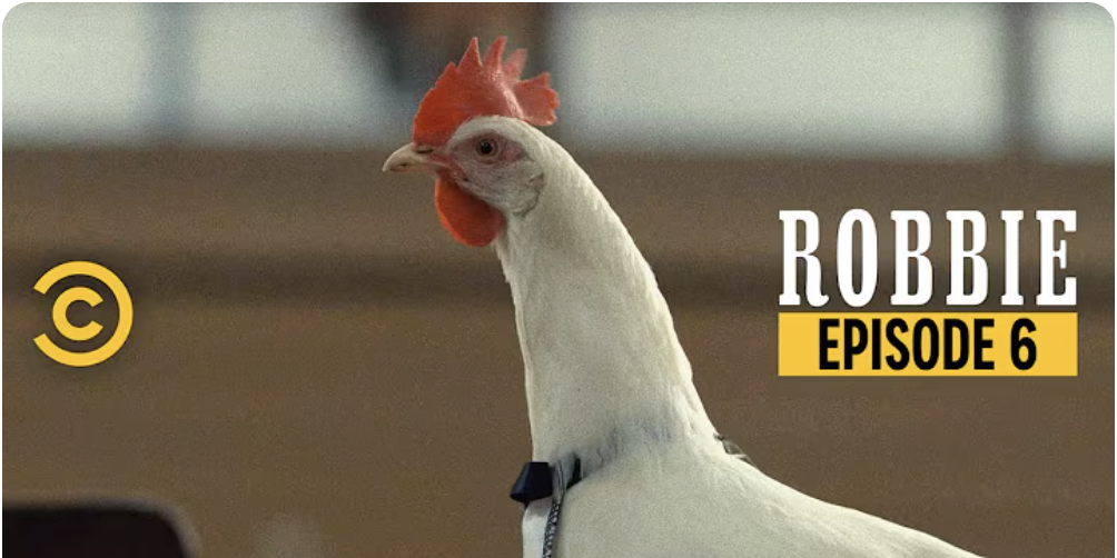 A white chicken with a red comb and wattles, and a yellow background for text that reads "Robbie Episode 6".