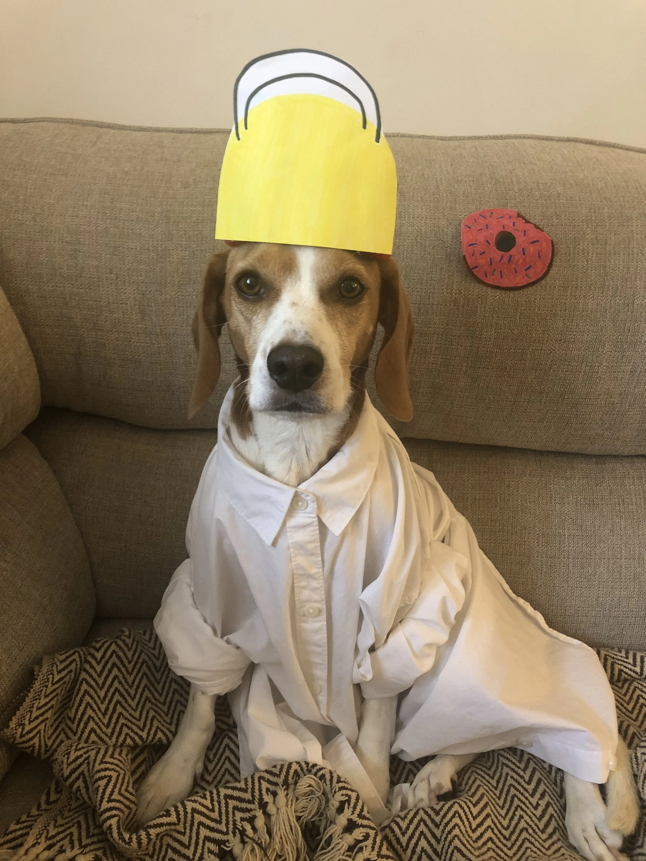 A dog sitting on a sofa wearing a white shirt and a paper hat with a yellow and black design. There is a red and black decorated paper doughnut on the sofa behind the dog.