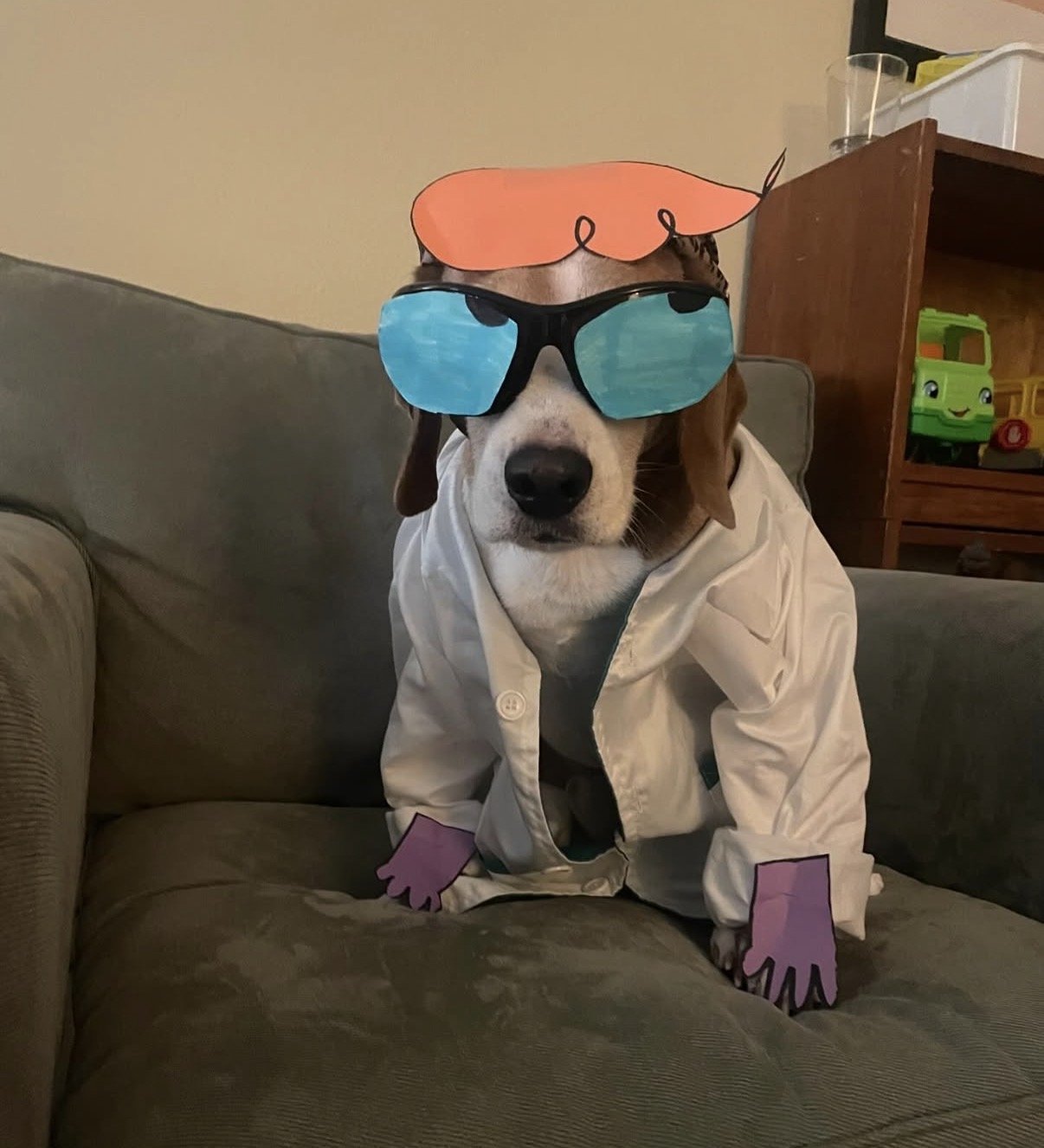 A dog dressed in a white coat with paper cutouts of sunglasses, a hairstyle, glasses, and gloves, resembling a person. The dog is sitting on a couch in a living room.