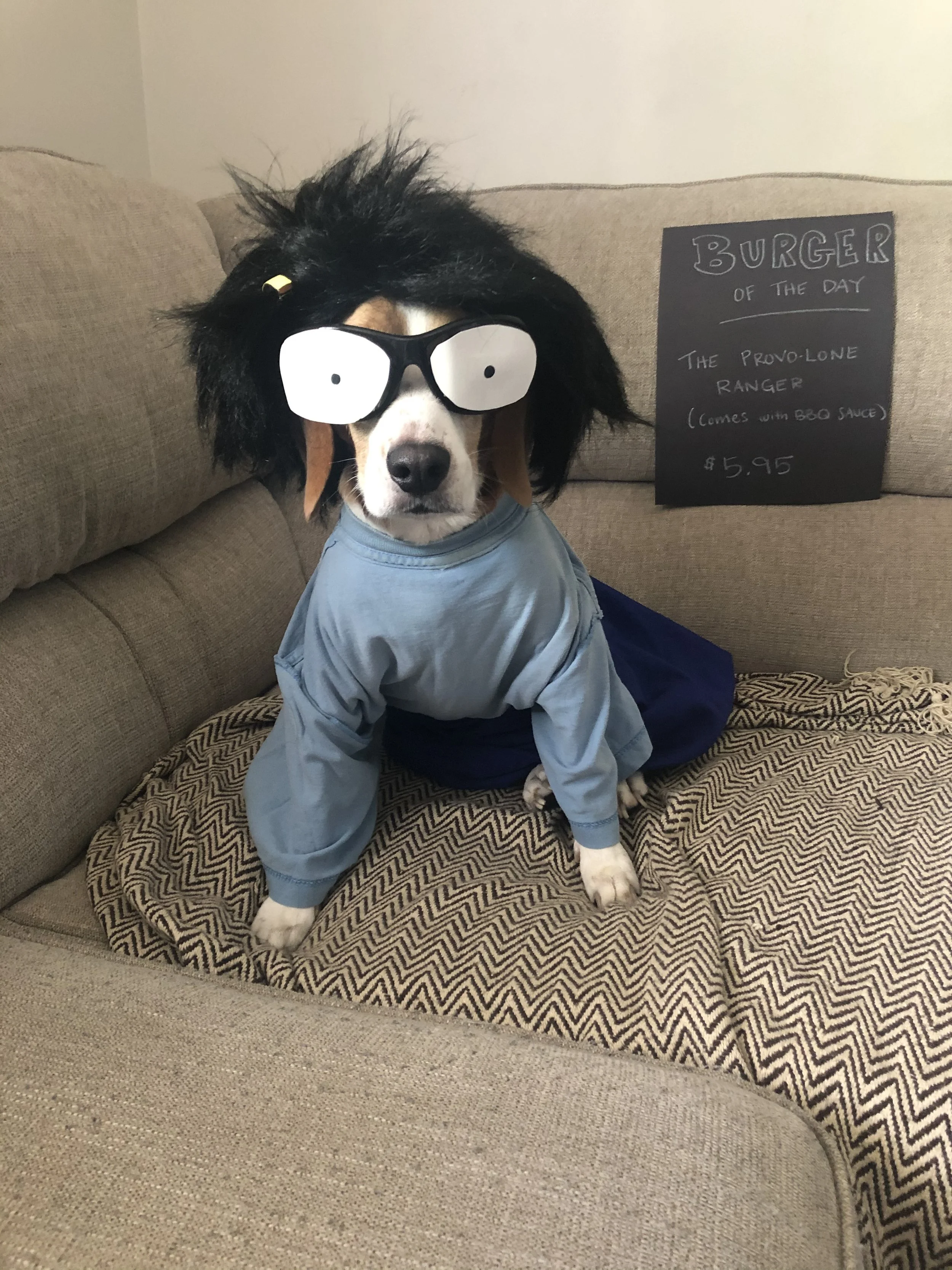 A dog dressed in a blue shirt and dark blue pants sitting on a patterned couch, wearing large finger-painted glasses with thick black frames and white lenses, with a sign on the couch behind it that reads 'Burger of the Day: The Provolone Ranger (comes with BBQ sauce) $5.95'.