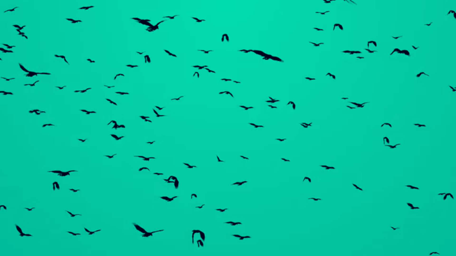Untitled - June 13, 2026 at 11.55.12 (1).png