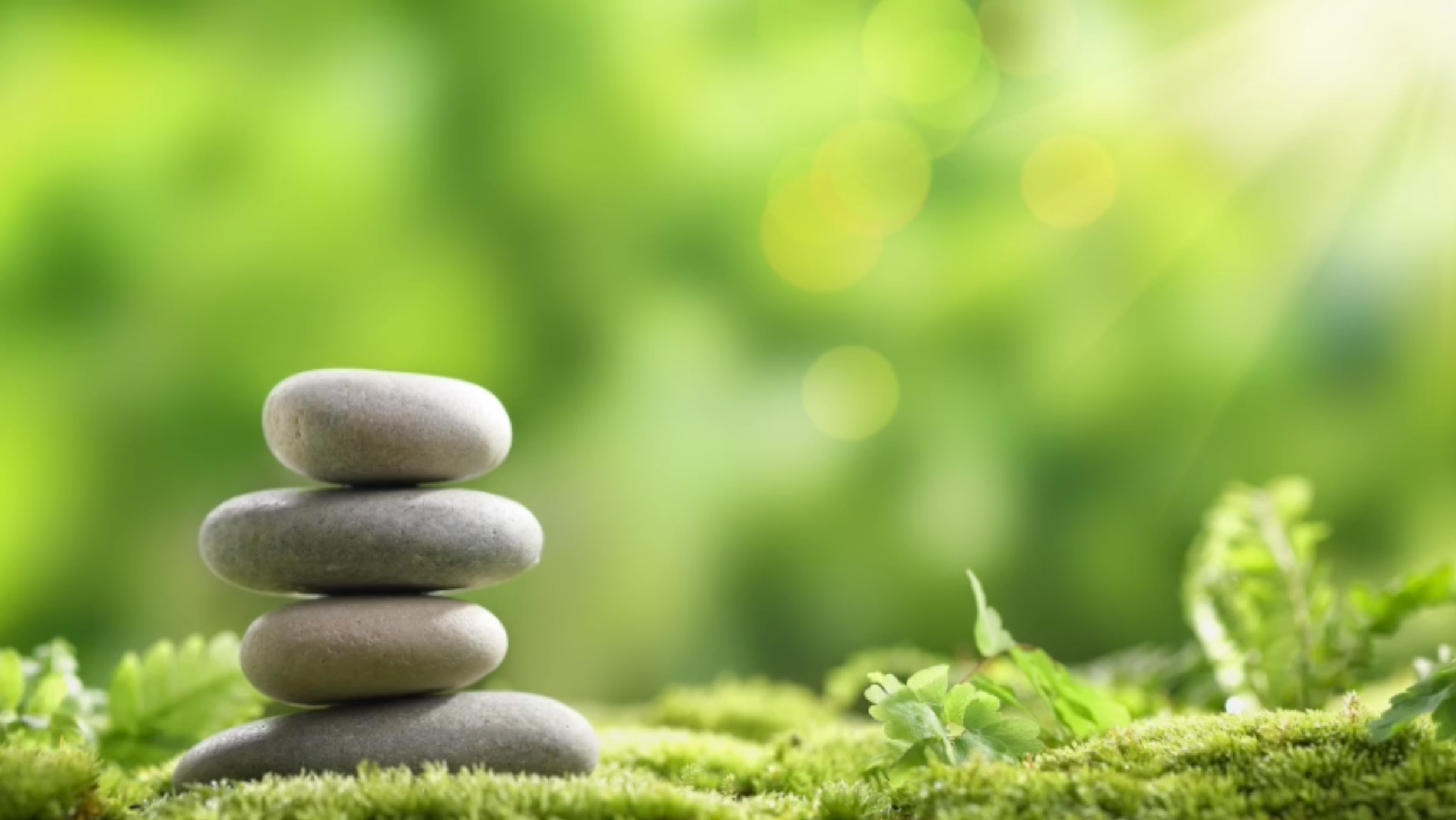 Truth Spa Grafton Holistic Alternative Services.png